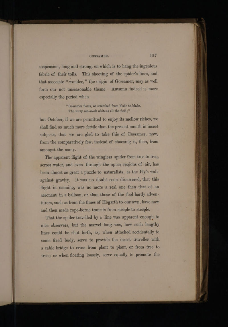 suspension, long and strong, on which is to hang the ingenious fabric of their toils. This shooting of the spider’s lines, and that associate “wonder,” the origin of Gossamer, may as well form our not unseasonable theme. Autumn indeed is more especially the period when ** Gossamer floats, or stretched from blade to blade, The wavy net-work whitens all the field ;” but October, if we are permitted to enjoy its mellow riches, we shall find so much more fertile than the present month in insect subjects, that we are glad to take this of Gossamer, now, from the comparatively few, instead of choosing it, then, from amongst the many. The apparent flight of the wingless spider from tree to tree, across water, and even through the upper regions of air, has been almost as great a puzzle to naturalists, as the Fly’s walk against gravity. It was no doubt soon discovered, that this flight in seeming, was no more a real one than that of an aeronaut in a balloon, or than those of the fool-hardy adven- turers, such as from the times of Hogarth to our own, have now and then made rope-borne transits from steeple to steeple. That the spider travelled by a line was apparent enough to nice observers, but the marvel long was, how such lengthy lines could be shot forth, as, when attached accidentally to some fixed body, serve to provide the insect traveller with a cable bridge to cross from plant to plant, or from tree to tree; or when floating loosely, serve equally to promote the