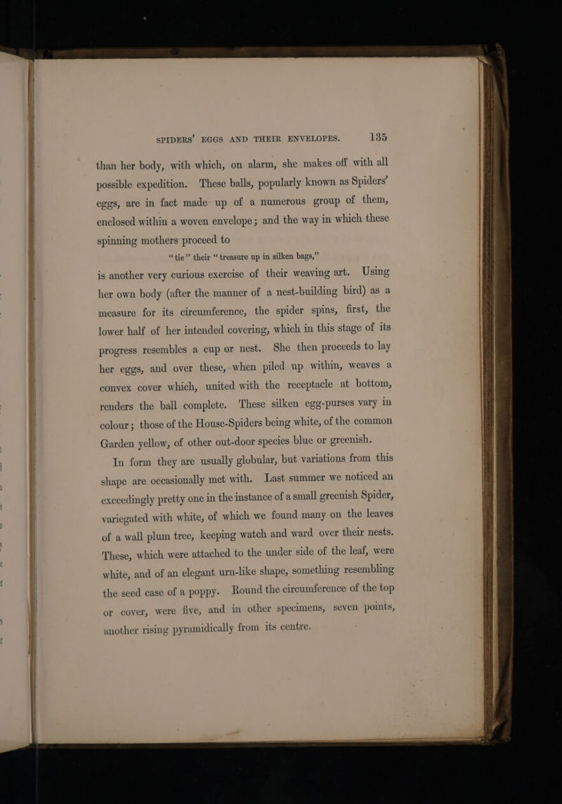 than her body, with which, on alarm, she makes off with all possible expedition. These balls, popularly known as Spiders’ eggs, are in fact made up of a numerous group of them, enclosed within a woven envelope; and the way in which these spinning mothers proceed to “tie” their “treasure up in silken bags,” is another very curious exercise of their weaving art. Using her own body (after the manner of a nest-building bird) as a measure for its circumference, the spider spins, first, the lower half of her intended covering, which in this stage of its progress resembles a cup or nest. She then proceeds to lay her eggs, and over these, when piled up within, weaves a convex cover which, united with the receptacle at bottom, renders the ball complete. These silken egg-purses vary in colour ; those of the House-Spiders being white, of the common Garden yellow, of other out-door species blue or greenish. In form they are usually globular, but variations from this shape are occasionally met with. Last summer we noticed an exceedingly pretty one in the instance of a small greenish Spider, variegated with white, of which we found many on the leaves of a wall plum tree, keeping watch and ward over their nests. These, which were attached to the under side of the leaf, were white, and of an elegant urn-like shape, something resembling the seed case of a poppy. Round the circumference of the top or cover, were five, and in other specimens, seven points, another rising pyramidically from its centre.