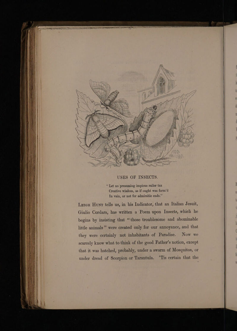 ee ctennen rte cena SnSP tc aia «i a y OS Waa : yd LA os aaa \¥ nN WN S| a Gy arm True ae os r SAS Bem he USES OF INSECTS. “Let no presuming impious railer tax Creative wisdom, as if ought was form’d Tn vain, or not for admirable ends.” Lercu Hunt tells us, in his Indicator, that an Italian Jesuit, Giulio Cordara, has written a’ Poem upon Insects, which he begins by insisting that “those troublesome and abominable little animals’ were created only for our annoyance, and that they were certainly not inhabitants of Paradise. Now we scarcely know what to think of the good Father’s notion, except that it was hatched, probably, under a swarm of Mosquitos, or