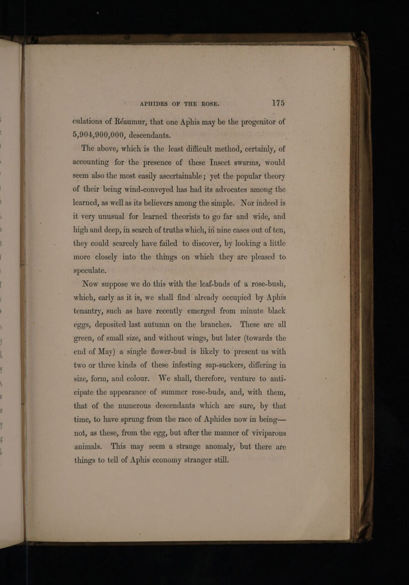 5 culations of Réaumur, that one Aphis may be the progenitor of 5,904,900,000, descendants. The above, which is the least difficult method, certainly, of accounting for the presence of these Insect swarms, would seem also the most easily ascertainable; yet the popular theory of their being wind-conveyed has had its advocates among the learned, as well as its believers among the simple. Nor indeed is it very unusual for learned theorists to go far and wide, and high and deep, in search of truths which, in nine cases out of ten, they could scarcely have failed to discover, by looking a hitle more closely into the things on which they are pleased to speculate. Now suppose we do this with the leaf-buds of a rose-bush, which, early as it is, we shall find already occupied by Aphis tenantry, such as have recently emerged from minute black eggs, deposited last autumn on the branches. These are all green, of small size, and without wings, but later (towards the end of May) a single flower-bud is likely to present us with two or three kinds of these infesting sap-suckers, differing in size, form, and colour. We shall, therefore, venture to anti- cipate the appearance of summer rose-buds, and, with them, that of the numerous descendants which are sure, by that time, to have sprung from the race of Aphides now in bemg— not, as these, from the egg, but after the manner of viviparous animals. ‘This may seem a strange anomaly, but there are things to tell of Aphis economy stranger still.