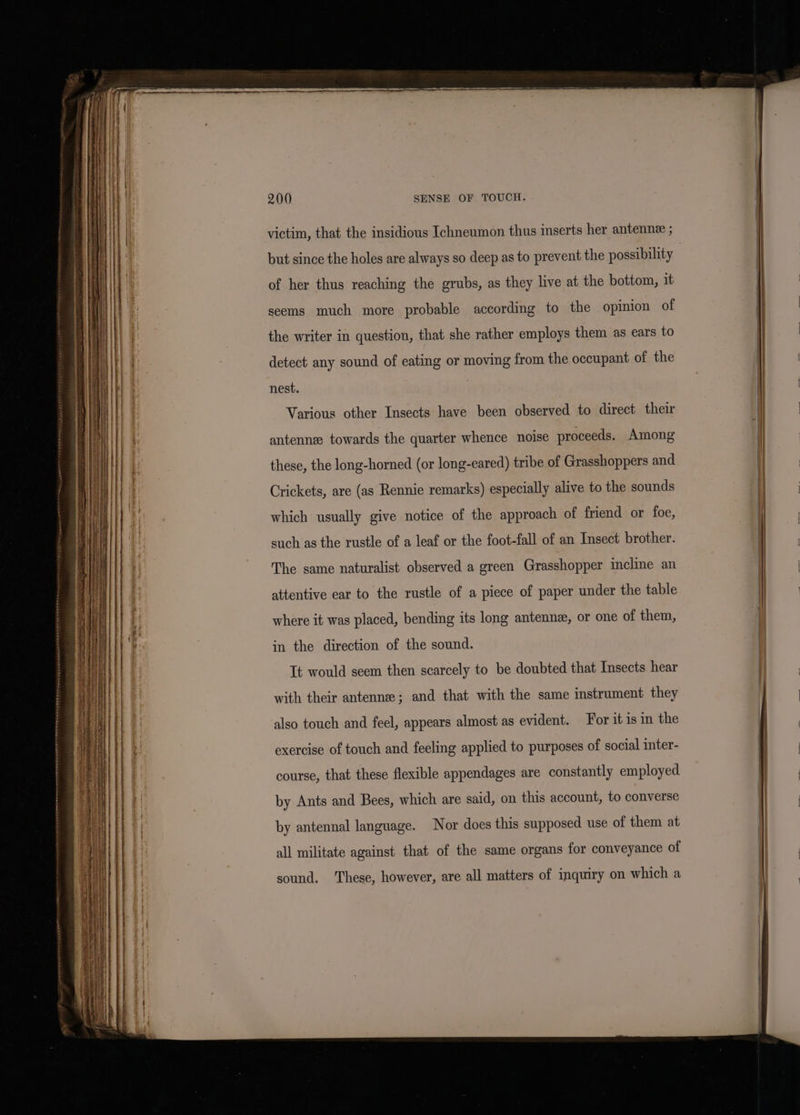 victim, that the insidious Ichneumon thus inserts her antenne ; but since the holes are always so deep as to prevent the possibility of her thus reaching the grubs, as they live at the bottom, it seems much more probable according to the opinion of the writer in question, that she rather employs them as ears to detect any sound of eating or moving from the occupant of the nest. Various other Insects have been observed to direct their antenne towards the quarter whence noise proceeds. Among these, the long-horned (or long-eared) tribe of Grasshoppers and Crickets, are (as Rennie remarks) especially alive to the sounds which usually give notice of the approach of friend or foe, such as the rustle of a leaf or the foot-fall of an Insect brother. The same naturalist observed a green Grasshopper incline an attentive ear to the rustle of a piece of paper under the table where it was placed, bending its long antennz, or one of them, in the direction of the sound. It would seem then scarcely to be doubted that Insects hear with their antenne; and that with the same instrument they also touch and feel, appears almost as evident. For it is in the exercise of touch and feeling applied to purposes of social inter- course, that these flexible appendages are constantly employed by Ants and Bees, which are said, on this account, to converse by antennal language. Nor does this supposed use of them at all militate against that of the same organs for conveyance of sound. These, however, are all matters of inquiry on which a