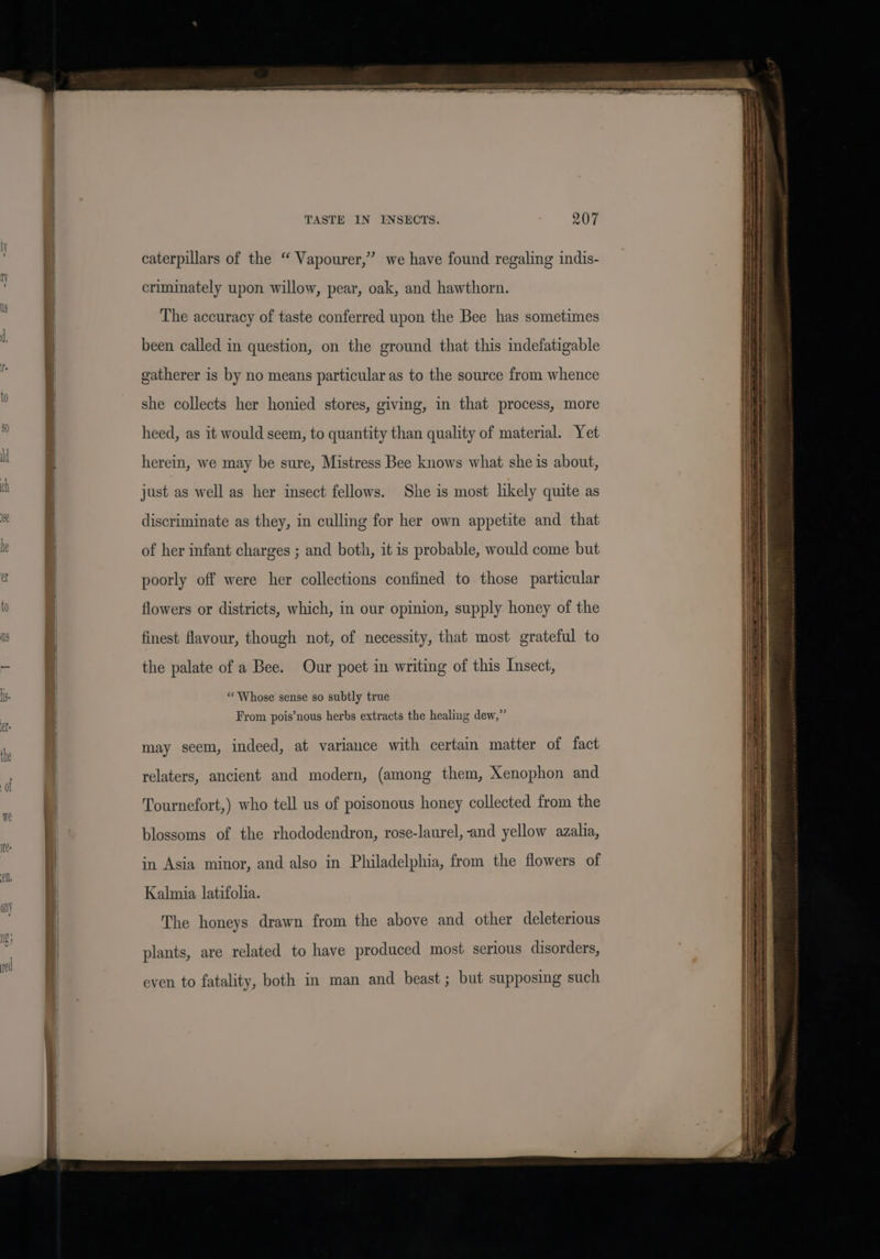 0! caterpillars of the “ Vapourer,” we have found regaling indis- criminately upon willow, pear, oak, and hawthorn. The accuracy of taste conferred upon the Bee has sometimes been called in question, on the ground that this indefatigable gatherer is by no means particular as to the source from whence she collects her honied stores, giving, in that process, more heed, as it would seem, to quantity than quality of material. Yet herein, we may be sure, Mistress Bee knows what she is about, just as well as her insect fellows. She is most likely quite as discriminate as they, in culling for her own appetite and that of her infant charges ; and both, it is probable, would come but poorly off were her collections confined to those particular flowers or districts, which, in our opinion, supply honey of the finest flavour, though not, of necessity, that most grateful to the palate of a Bee. Our poet in writing of this Insect, ** Whose sense so subtly true From pois’nous herbs extracts the healing dew,” may seem, indeed, at variance with certain matter of fact relaters, ancient and modern, (among them, Xenophon and Tournefort,) who tell us of poisonous honey collected from the blossoms of the rhododendron, rose-laurel, and yellow azalia, in Asia minor, and also in Philadelphia, from the flowers of Kalmia latifolia. The honeys drawn from the above and other deleterious plants, are related to have produced most serious disorders, even to fatality, both in man and beast ; but supposing such