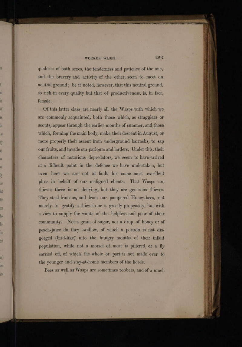 WORKER WASPS. Q2¢ qualities of both sexes, the tenderness and patience of the one, and the bravery and activity of the other, seem to meet on neutral ground; be it noted, however, that this neutral ground, so rich in every quality but that of productiveness, is, in fact, female. Of this latter class are nearly all the Wasps with which we are commonly acquainted, both those which, as stragglers or scouts, appear through the earlier months of summer, and those which, forming the main body, make their descent in August, or more properly their ascent from underground barracks, to sap our fruits, and invade our parlours and larders. Under this, their characters of notorious depredators, we seem to have arrived at a difficult pomt in the defence we have undertaken, but even here we are not at fault for some most excellent pleas in behalf of our maligned clients. ‘That Wasps are thieves there is no denying, but they are generous thieves. They steal from us, and from our pampered Honey-bees, not merely to gratify a thievish or a greedy propensity, but with a view to supply the wants of the helpless and poor of their community. Not a graim of sugar, nor a drop of honey or of peach-juice do they swallow, of which a portion is not dis- gorged (bird-lke) into the hungry mouths of their infant population, while not a morsel of meat is pilfered, or a fly carried off, of which the whole or part is not made over to the younger and stay-at-home members of the horde. Bees as well as Wasps are sometimes robbers, and of a much