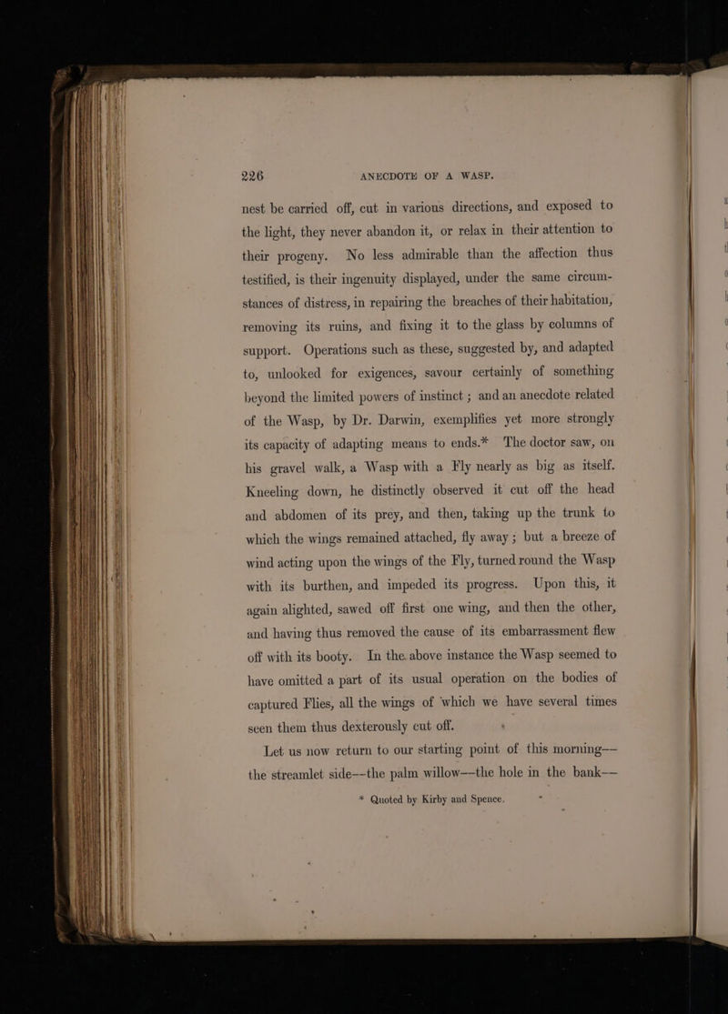 AAA RASS ROS SSS at cetera 2 aaecnee® 226 ANECDOTE OF A WASP. nest be carried off, cut in various directions, and exposed to the light, they never abandon it, or relax in their attention to their progeny. No less admirable than the affection thus testified, is their ingenuity displayed, under the same circum- stances of distress, in repairing the breaches of their habitation, removing its ruins, and fixing it to the glass by columns of support. Operations such as these, suggested by, and adapted to, unlooked for exigences, savour certainly of something beyond the limited powers of instinct ; and an anecdote related of the Wasp, by Dr. Darwin, exemplifies yet more strongly its capacity of adapting means to ends.* The doctor saw, on his gravel walk, a Wasp with a Fly nearly as big as itself. Kneeling down, he distinctly observed it cut off the head and abdomen of its prey, and then, taking up the trunk to which the wings remained attached, fly away ; but a breeze of wind acting upon the wings of the Fly, turned round the Wasp with its burthen, and impeded its progress. Upon this, it again alighted, sawed off first one wing, and then the other, and having thus removed the cause of its embarrassment flew off with its booty. In the above instance the Wasp seemed to have omitted a part of its usual operation on the bodies of captured Flies, all the wings of ‘which we have several times seen them thus dexterously cut off. Let us now return to our starting point of this morning—— the streamlet side-—the palm willow—-the hole in the bank—— * Quoted by Kirby and Spence. :
