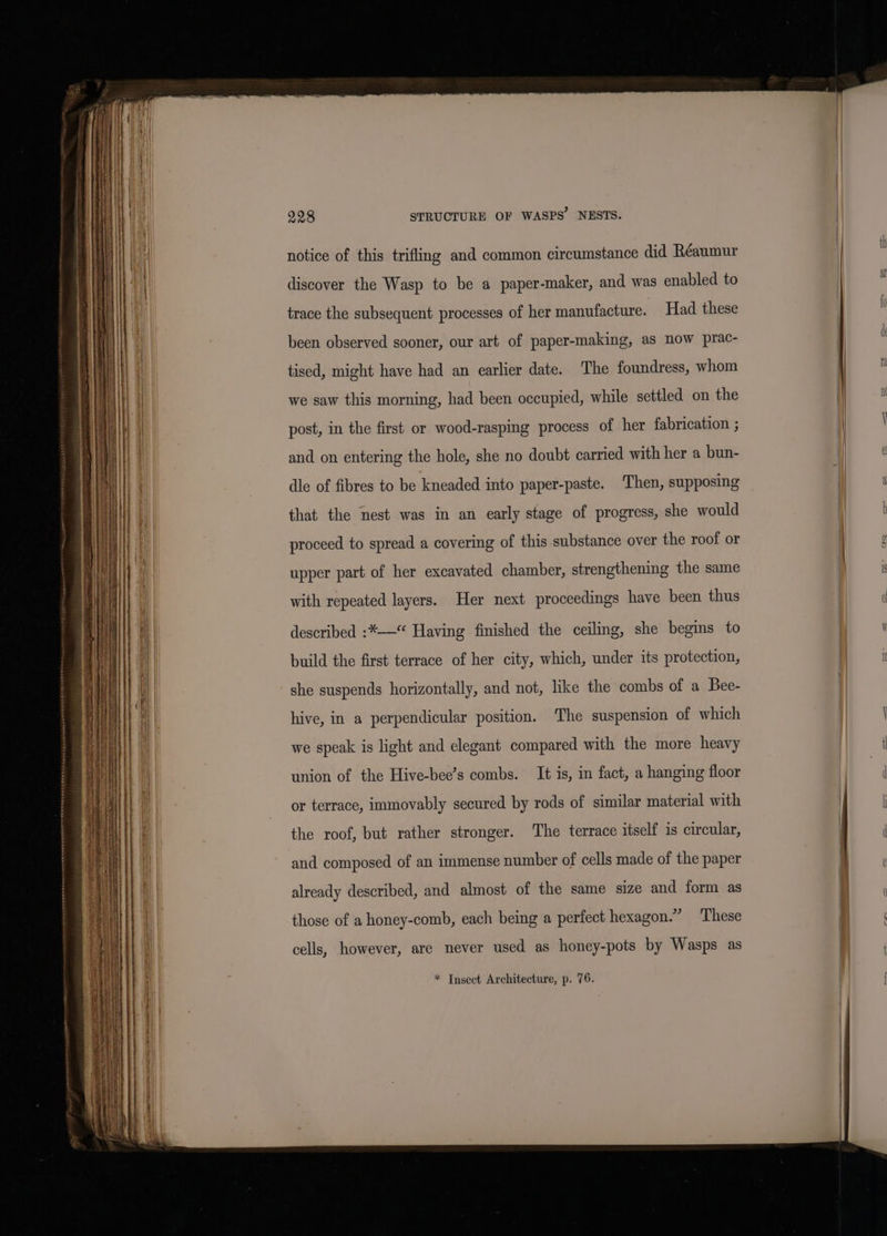 notice of this trifling and common circumstance did Réaumur discover the Wasp to be a paper-maker, and was enabled to trace the subsequent processes of her manufacture. Had these been observed sooner, our art of paper-making, as now prac- tised, might have had an earlier date. The foundress, whom we saw this morning, had been occupied, while settled on the post, in the first or wood-rasping process of her fabrication ; and on entering the hole, she no doubt carried with her a bun- dle of fibres to be kneaded into paper-paste. Then, supposing that the nest was in an early stage of progress, she would proceed to spread a covering of this substance over the roof or upper part of her excavated chamber, strengthening the same with repeated layers. Her next proceedings have been thus described :*-—“* Having finished the ceiling, she begins to build the first terrace of her city, which, under its protection, she suspends horizontally, and not, like the combs of a Bee- hive, in a perpendicular position. The suspension of which we speak is light and elegant compared with the more heavy union of the Hive-bee’s combs. It is, in fact, a hanging floor or terrace, immovably secured by rods of similar material with the roof, but rather stronger. The terrace itself is circular, and composed of an immense number of cells made of the paper already described, and almost of the same size and form as those of a honey-comb, each being a perfect hexagon.” ‘These cells, however, are never used as honey-pots by Wasps as