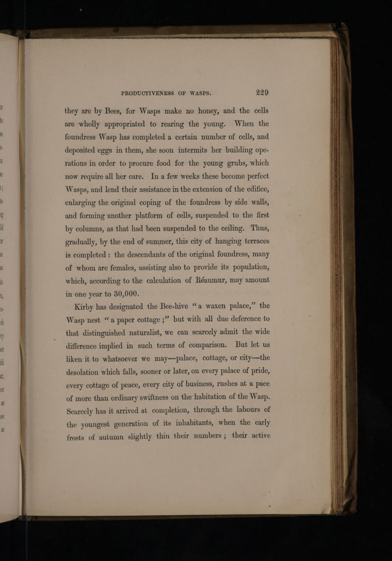 e PRODUCTIVENESS OF WASPS. Q29 they are by Bees, for Wasps make no honey, and the cells are wholly appropriated to rearing the young. When the foundress Wasp has completed a certain number of cells, and deposited eggs in them, she soon intermits her building ope- rations in order to procure food for the young grubs, which now require all her care. In a few weeks these become perfect Wasps, and lend their assistance in the extension of the edifice, enlarging the original coping of the foundress by side walls, and forming another platform of cells, suspended to the first by columns, as that had been suspended to the ceiling. Thus, gradually, by the end of summer, this city of hanging terraces is completed: the descendants of the original foundress, many of whom are females, assisting also to provide its population, which, according to the calculation of Réaumur, may amount in one year to 30,000. Kirby has designated the Bee-hive “a waxen palace,” the Wasp nest “a paper cottage ;” but with all due deference to that distinguished naturalist, we can scarcely admit the wide difference implied in such terms of comparison. But let us liken it to whatsoever we may—palace, cottage, or city—the desolation which falls, sooner or later, on every palace of pride, every cottage of peace, every city of business, rushes at a pace of more than ordinary swiftness on the habitation of the Wasp. Scarcely has it arrived at completion, through the labours of the youngest generation of its inhabitants, when the early frosts of autumn slightly thin their numbers ; their active