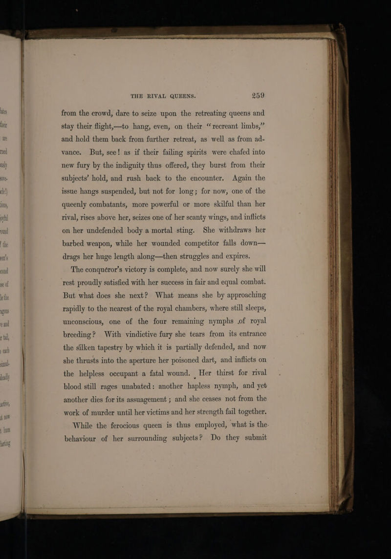 f im larg THE RIVAL QUEENS. 259 from the crowd, dare to seize upon the retreating queens and stay their flight,—to hang, even, on their “recreant limbs,” and hold them back from farther retreat, as well as from ad- vance. But, see! as if their failing spirits were chafed into new fury by the indignity thus offered, they burst from their subjects’ hold, and rush back to the encounter. Again the issue hangs suspended, but not for long; for now, one of the queenly combatants, more powerful or more skilful than her rival, rises above her, seizes one of her scanty wings, and inflicts on her undefended body a mortal sting. She withdraws her barbed weapon, while her wounded competitor falls down— drags her huge length along—then struggles and expires. The conquéror’s victory is complete, and now surely she will rest proudly satisfied with her success in fair and equal combat. But what does she next? What means she by approaching rapidly to the nearest of the royal chambers, where still sleeps, unconscious, one of the four remaining nymphs .of royal breeding? With vindictive fury she tears from its entrance the silken tapestry by which it is partially defended, and now she thrusts into the aperture her poisoned dart, and inflicts on the helpless occupant a fatal wound. Her thirst for rival blood still rages unabated: another hapless nymph, and yet another dies for its assuagement ; and she ceases not from the work of murder until her victims and her strength fail together. While the ferocious queen is thus employed, what is the- behaviour of her surrounding subjects? Do they submit