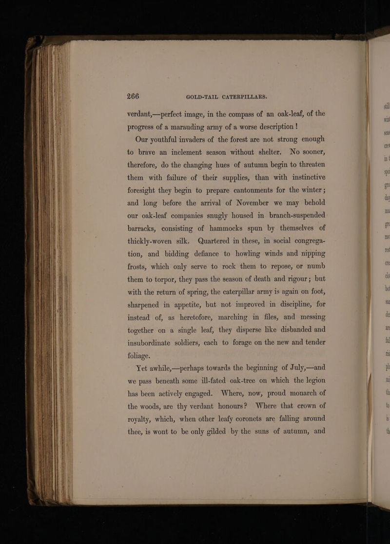 verdant,—perfect image, in the compass of an oak-leaf, of the | progress of a marauding army of a worse description ! | Our youthful invaders of the forest are not strong enough to brave an inclement season without shelter. No sooner, | therefore, do the changing hues of autumn begin to threaten | them with failure of their supplies, than with instinctive foresight they begin to prepare cantonments for the winter ; and long before the arrival of November we may behold our oak-leaf companies snugly housed in. branch-suspended barracks, consisting of hammocks spun by themselves of thickly-woven silk. Quartered in these, in social congrega- tion, and bidding defiance to howling winds and nipping | | frosts, which only serve to rock them to repose, or numb Al them to torpor, they pass the season of death and rigour ; but | | with the return of spring, the caterpillar army is again on foot, HI sharpened in appetite, but not improved in discipline, for i instead of, as heretofore, marching in files, and messing i together on a single leaf, they disperse like disbanded and ar insubordinate soldiers, each to forage on the new and tender il foliage. Yet awhile,—perhaps towards the beginning of July,—and mM we pass beneath some ill-fated oak-tree on which the legion mn has been actively engaged. Where, now, proud monarch of th the woods, are thy verdant honours? Where that crown of | to royalty, which, when other leafy coronets are falling around i thee, is wont to be only gilded by the suns of autumn, and