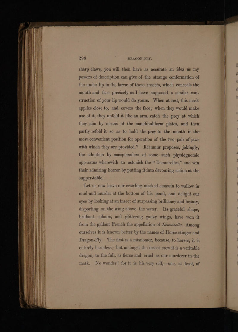 sharp claws, you will then have as accurate an idea as my powers of description can give of the strange conformation of the under lip in the larve of these insects, which conceals the mouth and face precisely as I have supposed a similar con- struction of your lip would do yours. When at rest, this mask applies close to, and covers the face; when they would make use of it, they unfold it like an arm, catch the prey at which they aim by means of the mandibuliform plates, and then partly refold it so as to hold the prey to the mouth in the most convenient position for operation of the two pair of jaws with which they are provided.” Réaumur proposes, jokingly, the adoption by masqueraders of some such physiognomic apparatus wherewith to astonish the “ Demoiselles,” and win their admiring horror by putting it into devouring action at the supper-table. Let us now leave our crawling masked assassin to wallow in mud and murder at the bottom of his pond, and delight our eyes by looking at an insect of surpassing brilliancy and beauty, disporting on the wing above the water. Its graceful shape, brilhant colours, and glittering gauzy wings, have won it from the gallant French the appellation of Demoiselle. Among ourselves it is known better by the names of Horse-stinger and Dragon-Fly. The first is a misnomer, because, to horses, it is entirely harmless; but amongst the insect crew it is a veritable dragon, to the full, as fierce and cruel as our murderer in the mask. No wonder! for it is his very self,—one, at least, of