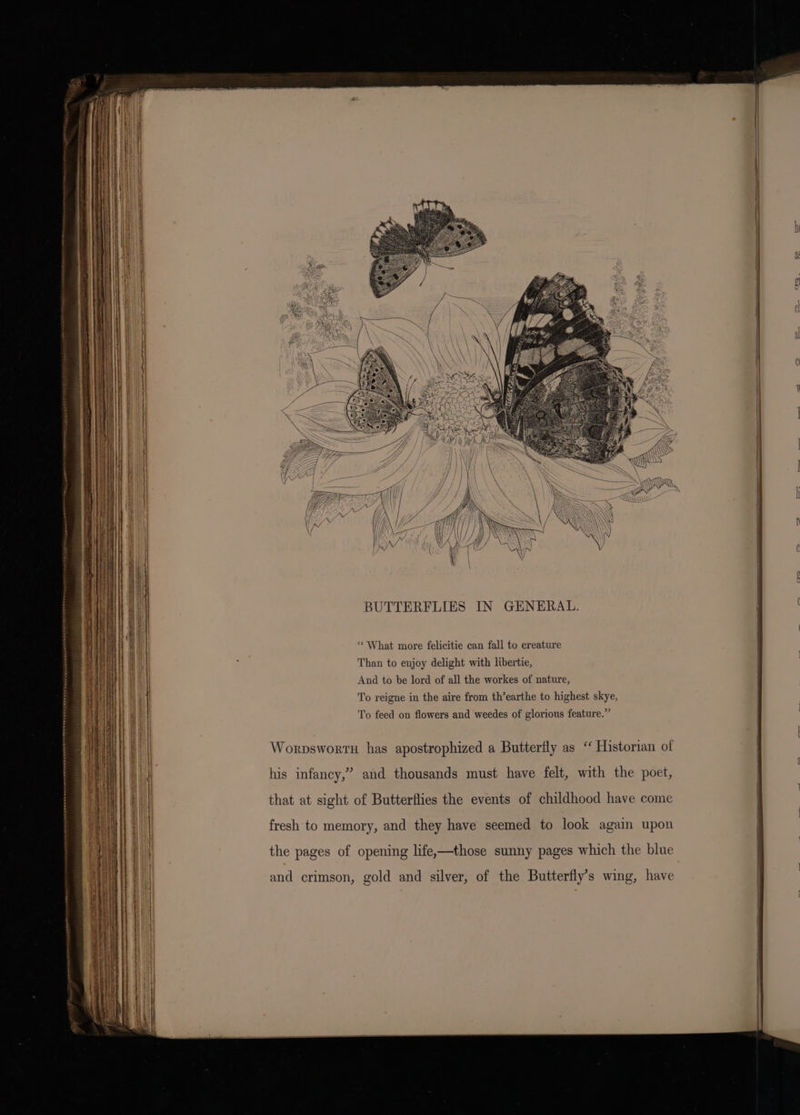 BUTTERFLIES IN GENERAL. ‘What more felicitie can fall to creature Than to enjoy delight with libertie, And to be lord of all the workes of nature, | | To reigne in the aire from th’earthe to highest skye, } To feed on flowers and weedes of glorious feature.” \ We | Worpswortn has apostrophized a Butterfly as ‘ Historian of Pea WEL : his infancy,” and thousands must have felt, with the poet, that at sight of Butterflies the events of childhood have come fresh to memory, and they have seemed to look again upon ) it | 4 the pages of opening life—those sunny pages which the blue | and crimson, gold and silver, of the Butterfly’s wing, have :