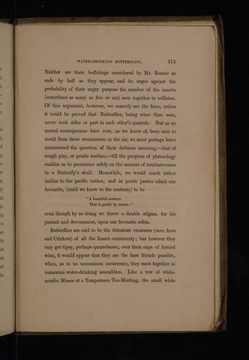 Neither are their buffetings considered by Mr. Rennie so probability of their angry purpose the number of the insects (sometimes as many as five or six) seen together in collision. Of this argument, however, we scarcely see the force, unless it could be proved that Butterflies, being wiser than men, never took sides or part in each other’s quarrels. But as no mortal consequences have ever, as we know of, been seen to result from these rencounters in the air, we must perhaps leave unanswered the question of their dubious meaning,—that of rough play, or gentle warfare,—till the progress of phrenology enables us to pronounce safely on the amount of combativeness in a Butterfly’s skull. Meanwhile, we would much rather incline to the pacific notion, and in poetic justice admit our favourite, (until we know to the contrary) to be “A beautiful creature That is gentle by nature ;” even though by so doing we throw a double stigma, for his pursuit and devourment, upon our favourite robin. Butterflies are said to be the thirstiest creatures (save Ants and Crickets) of all the Insect community; but however they may get tipsy, perhaps quarrelsome, over their cups of honied wine, it would appear that they are the best friends possible, when, as is no uncommon occurrence, they meet together in numerous water-drinking assemblies. Like a row of white- muslin Misses at a Temperance Tea-Meeting, the small white