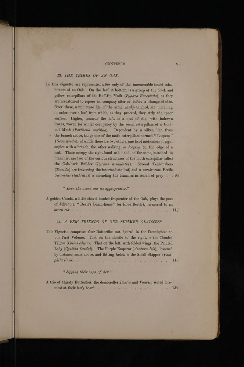 23. THE TRIBES OF AN OAK. In this vignette are represented a few only of the innumerable insect inha- bitants of an Oak. On the leaf at bottom is a group of the black and yellow caterpillars of the Buff-tip Moth (Pyge@ra Bucephala), as they are accustomed to repose in company after or before a change of skin. Over these, a miniature file of the same, newly-hatched, are marching in order over a leaf, from which, as they proceed, they strip the upper surface. Higher, towards the left, is a nest of silk, with indrawn leaves, woven for winter occupancy by the social caterpillars of a Gold- tail Moth (Porthesia auriflua). Dependent by a silken line from the branch above, hangs one of the moth caterpillars termed ‘‘ Loopers ” ) (Geometridae), of which there are two others, one fixed motionless at right angles with a branch, the other walking, or Jooping, on the edge of a { leaf. These occupy the right-hand oak; and on the same, attached to branches, are two of the curious structures of the moth caterpillar called the Oak-bark Builder (Pyralis strigulatus). Several Tent-makers (Tineide) are traversing the intermediate leaf, and a carnivorous Beetle eee (Scarabus clathratus) is ascending the branches in search of prey . . 94 “ Even the acorn has its appropriator.” A golden Cicada, a little shovel-headed frequenter of the Oak, plays the part of Jehu to a “ Devil’s Coach-horse” (or Rove Beetle), harnessed to an ROOVINCH eee oy oe Pie ce ee ot aes a ae tet is, get 117 24. 4 FEW FRIENDS OF OUR SUMMER GLADNESS. This Vignette comprises four Butterflies not figured in the Frontispiece to our First Volume. That on the Thistle to the right, is the Clouded Yellow (Colas edusa). That on the left, with folded wings, the Painted Lady (Cynthia Cardut). The Purple Emperor (Apatura Iris), lessened by distance, soars above, and flitting below is the Small Skipper (Pam- DIG TREA a ee e Ae ley, «&gt;. 118 * Sipping their cups of dew.” A trio of thirsty Butterflies, the demoiselles Pontia and Vanessa seated fore- me a rene ge ee ry SS most: au them leaty. board “sae Fo io esipe sas Le ee + 189
