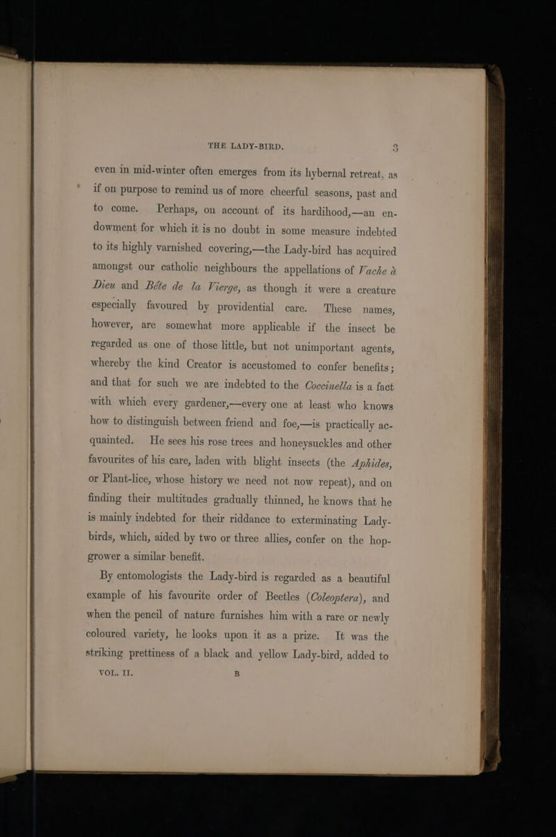 even in mid-winter often emerges from its hybernal retreat, as if on purpose to remind us of more cheerful seasons, past and to come. Perhaps, on account of its hardihood,—an en- dowment for which it is no doubt in some measure indebted to its highly varnished covering,—the Lady-bird has acquired amongst our catholic neighbours the appellations of Vache Diew and Béte de la Vierge, as though it were a creature especially favoured by providential care. These names, however, are somewhat more applicable if the insect be regarded as one of those little, but not unimportant agents, whereby the kind Creator is accustomed to confer benefits ; and that for such we are indebted to the Coccinella is a fact with which every gardener, every one at least who knows how to distinguish between friend and foe,—is practically ac- quainted. He sees his rose trees and honeysuckles and other favourites of his care, laden with blight insects (the Aphides, or Plant-lice, whose history we need not now repeat), and on finding their multitudes gradually thinned, he knows that he is mainly indebted for their riddance to exterminating Lady- birds, which, aided by two or three allies, confer on the hop- grower a similar benefit. By entomologists the Lady-bird is regarded as a beautiful example of his favourite order of Beetles (Coleoptera), and when the pencil of nature furnishes him with a rare or newly coloured variety, he looks upon it as a prize. It was the striking prettiness of a black and yellow Lady-bird, added to