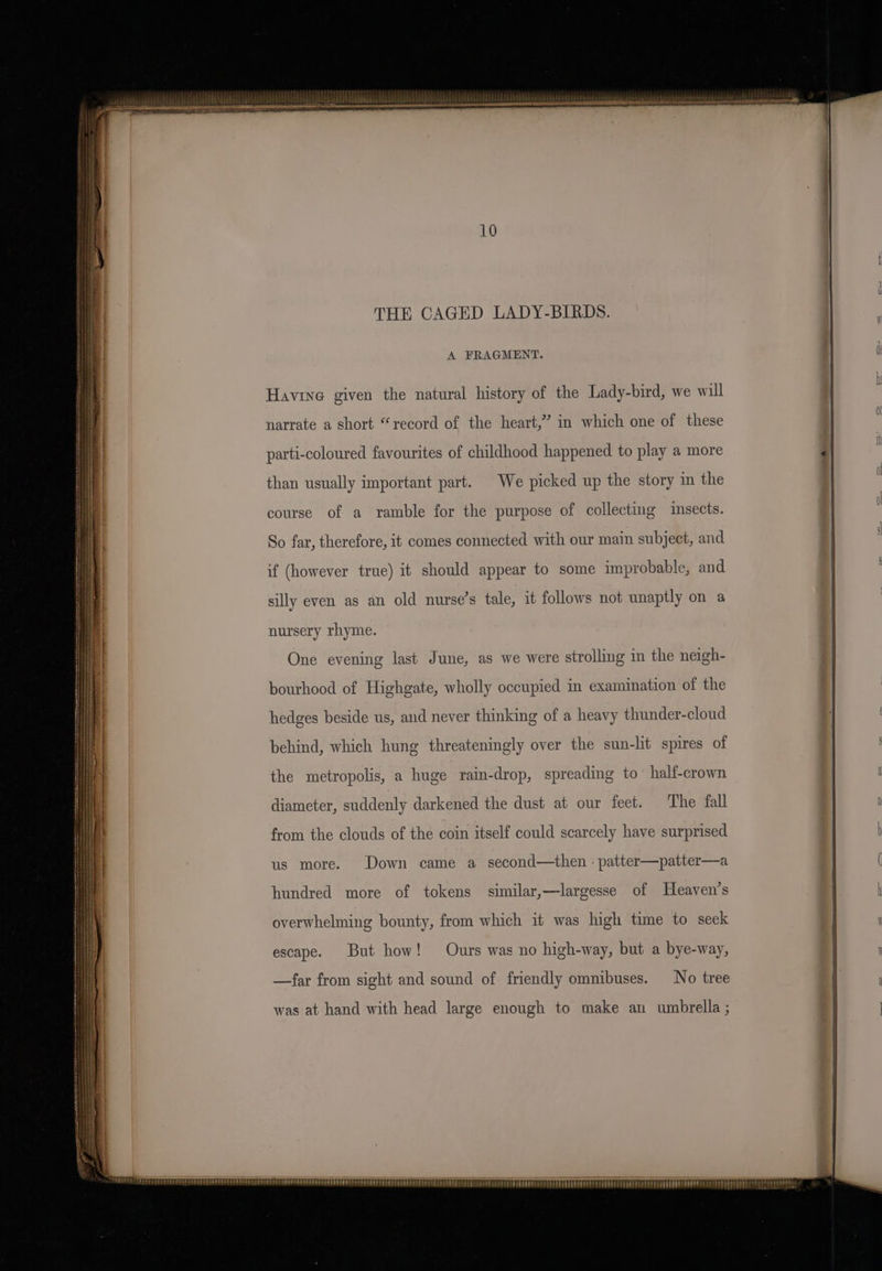 A FRAGMENT. Havine given the natural history of the Lady-bird, we will narrate a short “record of the heart,” in which one of these parti-coloured favourites of childhood happened to play a more than usually important part. We picked up the story in the course of a ramble for the purpose of collecting insects. So far, therefore, it comes connected with our main subject, and if (however true) it should appear to some improbable, and silly even as an old nurse’s tale, it follows not unaptly on a nursery rhyme. One evening last June, as we were strolling in the neigh- bourhood of Highgate, wholly occupied in examination of the hedges beside us, and never thinking of a heavy thunder-cloud behind, which hung threateningly over the sun-lit spires of the metropolis, a huge rain-drop, spreading to’ half-crown diameter, suddenly darkened the dust at our fect. The fall from the clouds of the coin itself could scarcely have surprised us more. Down came a second—then -patter—patter—a hundred more of tokens similar,—largesse of Heaven’s overwhelming bounty, from which it was high time to seek —far from sight and sound of friendly omnibuses. No tree was at hand with head large enough to make an umbrella ; “SOSEPULTUETTceT epee Lene) LAPELEPREEAP PEE RESO R OES p THU VOTESDSERPTE Ty da PLEbeET EUD PET SVTERTEOET TT TTETFEPETPPEET ET FREUPETHEPEEUTETEEEEETPUESPEEPE TI De PYTPEEEpPEL SECU ES ERED EES