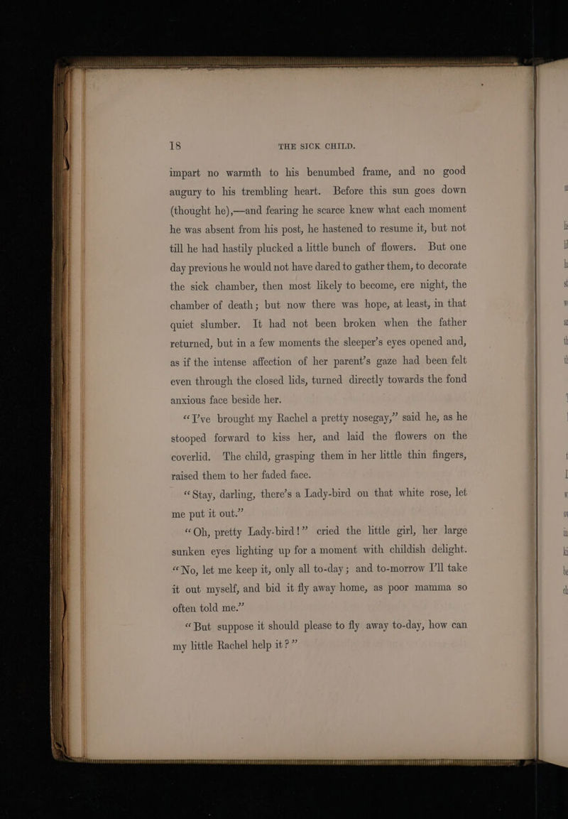 impart no warmth to his benumbed frame, and no good augury to his trembling heart. Before this sun goes down (thought he),——and fearing he scarce knew what each moment he was absent from his post, he hastened to resume it, but not till he had hastily plucked a little bunch of flowers. But one day previous he would not have dared to gather them, to decorate the sick chamber, then most likely to become, ere night, the chamber of death; but now there was hope, at least, in that quiet slumber. It had not been broken when the father returned, but in a few moments the sleeper’s eyes opened and, as if the intense affection of her parent’s gaze had been felt even through the closed lids, turned directly towards the fond anxious face beside her. “T’ve brought my Rachel a pretty nosegay,” said he, as he stooped forward to kiss her, and laid the flowers on the coverlid. The child, grasping them in her little thin fingers, raised them to her faded face. “Stay, darling, there’s a Lady-bird on that white rose, let me put it out.” «Oh, pretty Lady-bird!” cried the little girl, her large sunken eyes lighting up for a moment with childish delight. “No, let me keep it, only all to-day; and to-morrow I’ll take it out myself, and bid it fly away home, as poor mamma so often told me.” «But suppose it should please to fly away to-day, how can my little Rachel help it?”