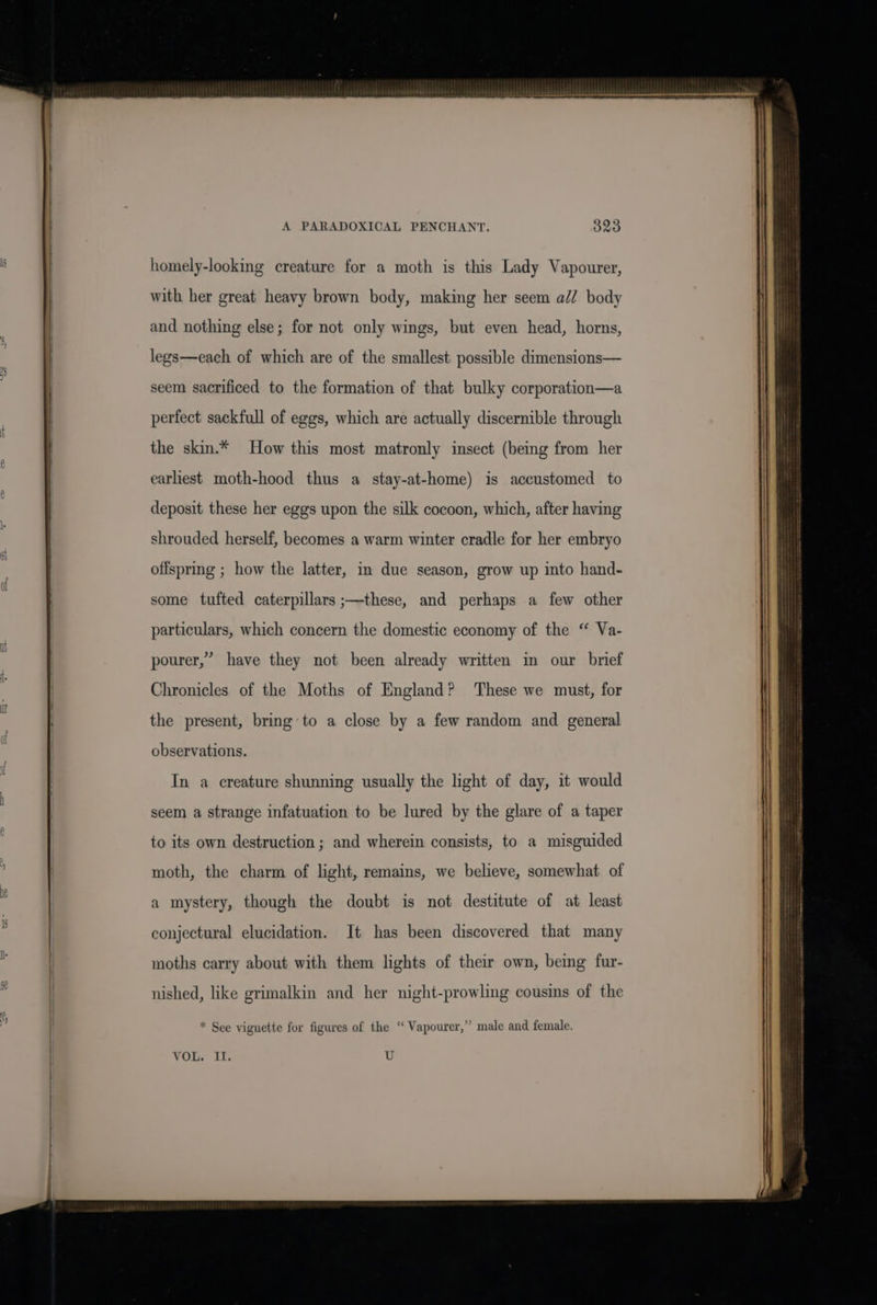 homely-looking creature for a moth is this Lady Vapourer, with her great heavy brown body, making her seem ad/ body and nothing else; for not only wings, but even head, horns, legs—each of which are of the smallest possible dimensions— seem sacrificed to the formation of that bulky corporation—a perfect sackfull of eggs, which are actually discernible through the skin.* How this most matronly insect (being from her arliest moth-hood thus a stay-at-home) is accustomed to deposit these her eggs upon the silk cocoon, which, after having shrouded herself, becomes a warm winter cradle for her embryo offspring ; how the latter, im due season, grow up into hand- some tufted caterpillars ;—these, and perhaps a few other particulars, which concern the domestic economy of the “ Va- pourer,” have they not been already written im our brief Chronicles of the Moths of England? These we must, for the present, bring to a close by a few random and general observations. In a creature shunning usually the light of day, it would seem a strange infatuation to be lured by the glare of a taper to its own destruction ; and wherein consists, to a misguided moth, the charm of light, remains, we believe, somewhat of a mystery, though the doubt is not destitute of at least conjectural elucidation. It has been discovered that many moths carry about with them lights of their own, bemg fur- nished, like grimalkin and her night-prowling cousins of the * See vignette for figures of the ‘ Vapourer,” male and female. VOL. II. U