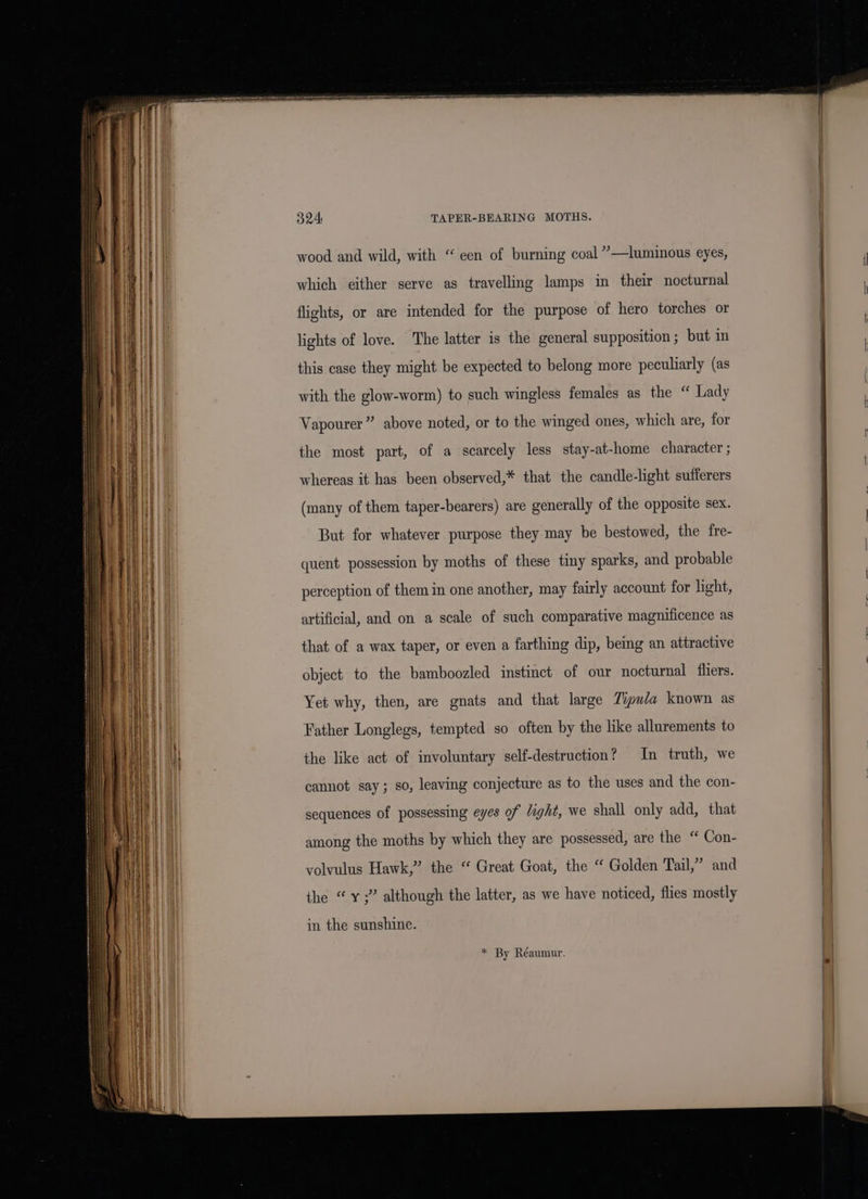 wood and wild, with “een of burning coal ”—luminous eyes, which either serve as travelling lamps in their nocturnal flights, or are intended for the purpose of hero torches or lights of love. The latter is the general supposition ; but in this case they might be expected to belong more peculiarly (as with the glow-worm) to such wingless females as the “ Lady Vapourer” above noted, or to the winged ones, which are, for the most part, of a scarcely less stay-at-home character ; whereas it has been observed,* that the candle-light sufferers (many of them taper-bearers) are generally of the opposite sex. But for whatever purpose they may be bestowed, the fre- quent possession by moths of these tiny sparks, and probable perception of them in one another, may fairly account for light, artificial, and on a scale of such comparative magnificence as that of a wax taper, or even a farthing dip, being an attractive object to the bamboozled instinct of our nocturnal fliers. Yet why, then, are gnats and that large Zipuda known as Father Longlegs, tempted so often by the like allurements to the like act of involuntary self-destruction? In truth, we cannot say; so, leaving conjecture as to the uses and the con- sequences of possessing eyes of light, we shall only add, that among the moths by which they are possessed, are the “ Con- volvulus Hawk,” the “ Great Goat, the “ Golden Tail,” and the “ ¥;” although the latter, as we have noticed, flies mostly in the sunshine. * By Réaumur.