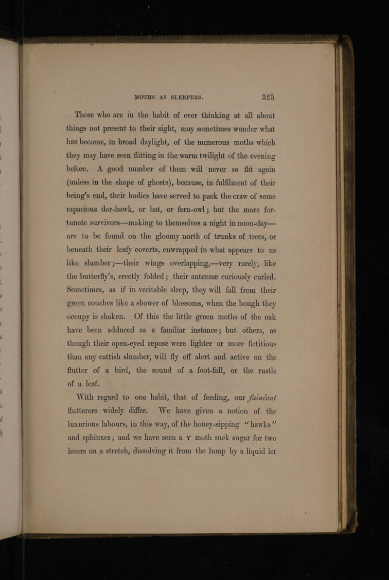 MOTHS AS SLEEPERS. Those who are in the habit of ever thinking at all about things not present to their sight, may sometimes wonder what has become, in broad daylight, of the numerous moths which they may have seen flitting in the warm twilight of the evening (unless in the shape of ghosts), because, in fulfilment of their being’s end, their bodies have served to pack the craw of some rapacious dor-hawk, or bat, or fern-owl; but the more for- tunate survivors—making to themselves a night in noon-day— are to be found on the gloomy north of trunks of trees, or beneath their leafy coverts, enwrapped in what appears to us like slumber ;—their wings overlapping,—very rarely, like the butterfly’s, erectly folded; their antenne curiously curled. Sometimes, as if in veritable sleep, they will fall from their green couches like a shower of blossoms, when the bough they occupy is shaken. Of this the little green moths of the oak have been adduced as a familiar instance; but others, as though their open-eyed repose were lighter or more fictitious than any cattish slumber, will fly off alert and active on the flutter of a bird, the sound of a foot-fall, or the rustle of a leaf. With regard to one habit, that of feeding, our fainéant flutterers widely differ. We have given a notion of the luxurious labours, in this way, of the honey-sipping “hawks” and sphinxes; and we have seen a y moth suck sugar for two hours on a stretch, dissolving it from the lump by a liquid let