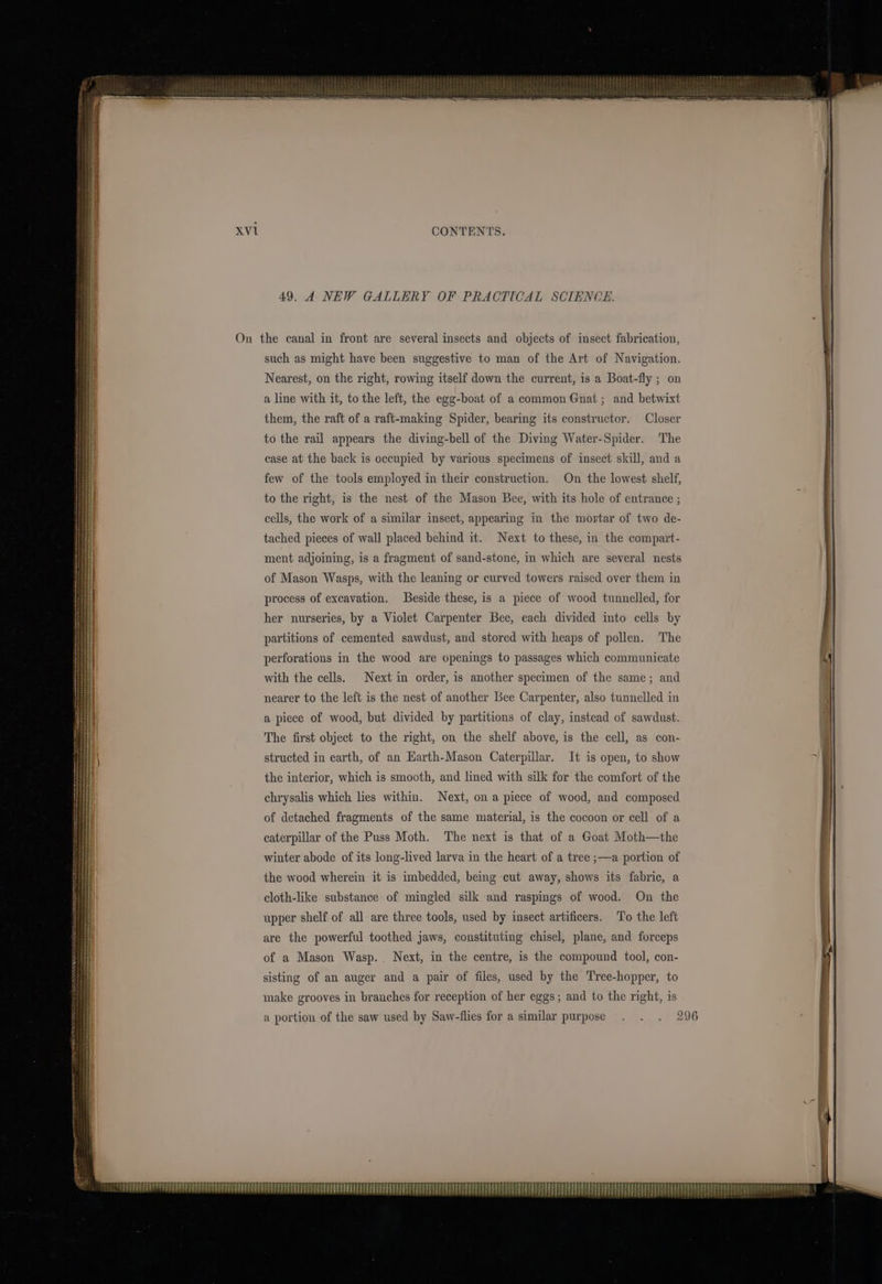 49. 4 NEW GALLERY OF PRACTICAL SCIENCE. On the canal in front are several insects and objects of insect fabrication, such as might have been suggestive to man of the Art of Navigation. Nearest, on the right, rowing itself down the current, is a Boat-fly ; on a line with it, to the left, the egg-boat of a common Gnat ; and betwixt them, the raft of a raft-making Spider, bearing its constructor. Closer to the rail appears the diving-bell of the Diving Water-Spider. The case at the back is occupied by various specimens of insect skill, and a few of the tools employed in their construction. On the lowest shelf, to the right, is the nest of the Mason Bee, with its hole of entrance ; cells, the work of a similar insect, appearing in the mortar of two de- tached pieces of wall placed behind it. Next to these, in the compart- ment adjoining, is a fragment of sand-stone, in which are several nests of Mason Wasps, with the leaning or curved towers raised over them in process of excavation. Beside these, is a piece of wood tunnelled, for her nurseries, by a Violet Carpenter Bee, each divided into cells by partitions of cemented sawdust, and stored with heaps of pollen. The perforations in the wood are openings to passages which communicate with the cells. Next in order, is another specimen of the same; and nearer to the left is the nest of another bee Carpenter, also tunnelled in a piece of wood, but divided by partitions of clay, instead of sawdust. The first object to the right, on the shelf above, is the cell, as con- structed in earth, of an Harth-Mason Caterpillar. It is open, to show the interior, which is smooth, and lined with silk for the comfort of the chrysalis which les within. Next, on a piece of wood, and composed of detached fragments of the same material, is the cocoon or cell of a caterpillar of the Puss Moth. The next is that of a Goat Moth—the winter abode of its long-lived larva in the heart of a tree ;—a portion of the wood wherein it is imbedded, being cut away, shows its fabric, a cloth-like substance of mingled silk and raspings of wood. On the upper shelf of all are three tools, used by insect artificers. To the left are the powerful toothed jaws, constituting chisel, plane, and forceps of a Mason Wasp.. Next, in the centre, is the compound tool, con- sisting of an auger and a pair of files, used by the Tree-hopper, to a portion of the saw used by Saw-flies for a similar purpose . . . 296 P ndetimoeaail - HT eA HRA EATA TAT EEEETETRETETTTR ee ee