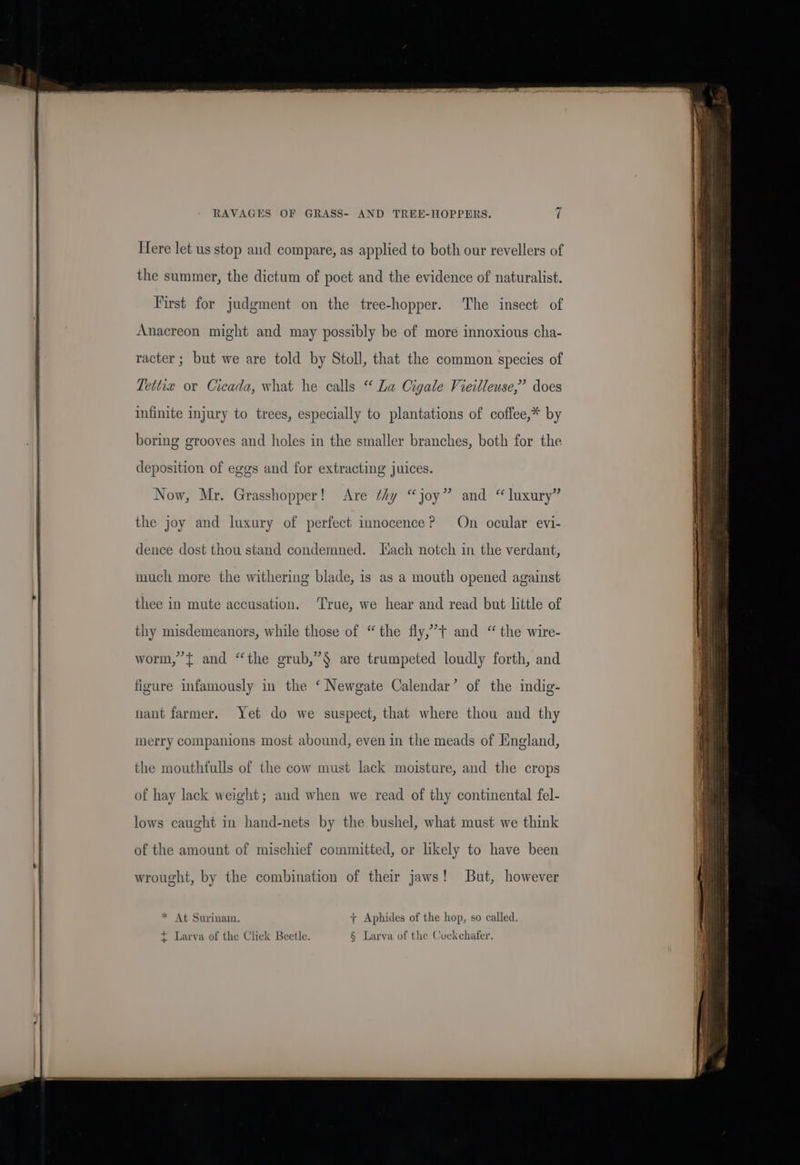 Here let us stop and compare, as applied to both our revellers of the summer, the dictum of poet and the evidence of naturalist. First for judgment on the tree-hopper. The insect of Anacreon might and may possibly be of more innoxious cha- racter ; but we are told by Stoll, that the common species of Tettix or Cicada, what he calls “ La Cigale Vieilleuse,’ does infinite injury to trees, especially to plantations of coffee,* by boring grooves and holes in the smaller branches, both for the deposition of eggs and for extracting juices. Now, Mr. Grasshopper! Are thy “joy” and “ luxury” the joy and luxury of perfect innocence? On ocular evi- dence dost thou stand condemned. Hach notch in the verdant, much more the withering blade, is as a mouth opened against thee in mute accusation. ‘True, we hear and read but little of thy misdemeanors, while those of “ the fly,’t and “ the wire- worm,’ { and “the grub,”§$ are trumpeted loudly forth, and figure infamously in the ‘ Newgate Calendar’ of the indig- nant farmer. Yet do we suspect, that where thou and thy merry companions most abound, even in the meads of England, the mouthfulls of the cow must lack moisture, and the crops of hay lack weight; aud when we read of thy continental fel- lows caught in hand-nets by the bushel, what must we think of the amount of mischief committed, or likely to have been * At Surinam. + Aphides of the hop, so called. t Larva of the Click Beetle. § Larva of the Cockchafer,