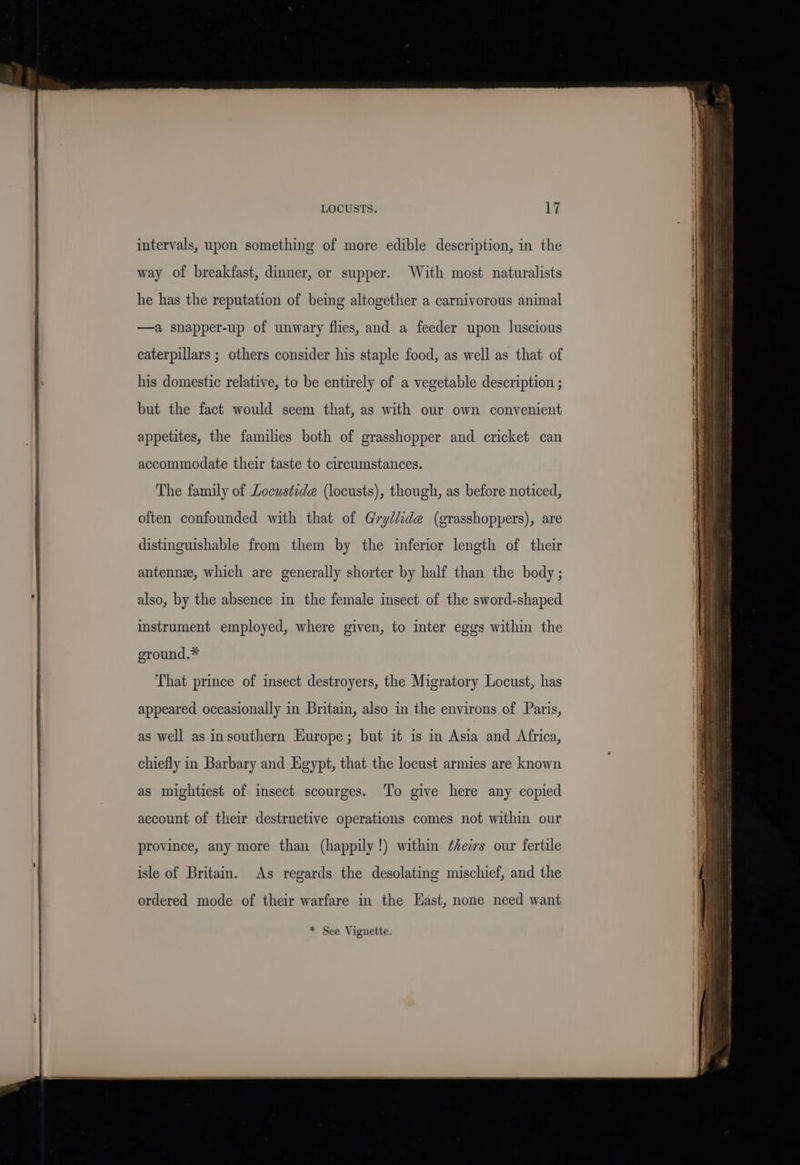 LOCUSTS. 1% intervals, upon something of more edible description, in the way of breakfast, dinner, or supper. With most naturalists he has the reputation of being altogether a carnivorous animal —a snapper-up of unwary flies, and a feeder upon luscious caterpillars ; others consider his staple food, as well as that of his domestic relative, to be entirely of a vegetable description ; but the fact would seem that, as with our own convenient appetites, the families both of grasshopper and cricket can accommodate their taste to circumstances. The family of Locustide (locusts), though, as before noticed, often confounded with that of Gry/iide@ (grasshoppers), are distinguishable from them by the inferior length of their antennse, which are generally shorter by half than the body ; also, by the absence in the female insect of the sword-shaped instrument employed, where given, to inter eggs within the ground.* That prince of insect destroyers, the Migratory Locust, has appeared occasionally in Britain, also in the environs of Paris, as well as insouthern Hurope; but it is in Asia and Africa, chiefly in Barbary and Egypt, that the locust armies are known as mightiest of imsect scourges. To give here any copied account of their destructive operations comes not within our province, any more than (happily!) within ¢/ezrs our fertile isle of Britain. As regards the desolating mischief, and the ordered mode of their warfare in the East, none need want * See Vignette.