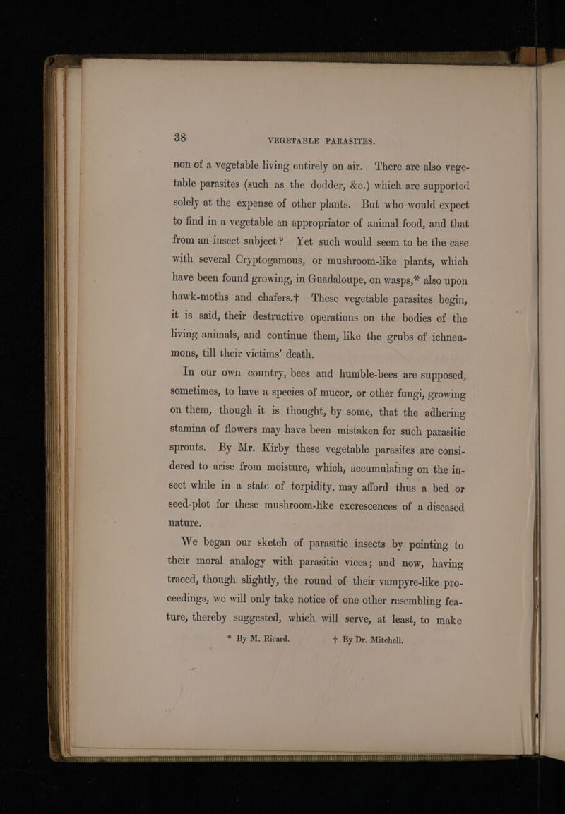 non of a vegetable living entirely on air. There are also vege- table parasites (such as the dodder, &amp;c.) which are supported solely at the expense of other plants. But who would expect to find in a vegetable an appropriator of animal food, and that from an insect subject? Yet such would seem to be the case with several Cryptogamous, or mushroom-like plants, which have been found growing, in Guadaloupe, on wasps,* also upon hawk-moths and chafers.t These vegetable parasites begin, it is said, their destructive operations on the bodies of the living animals, and continue them, like the grubs of ichneu- mons, till their victims’ death. In our own country, bees and humble-bees are supposed, sometimes, to have a species of mucor, or other fungi, growing on them, though it is thought, by some, that the adhering stamina of flowers may have been mistaken for such parasitic sprouts. By Mr. Kirby these vegetable parasites are consi- dered to arise from moisture, which, accumulating on the in- sect while in a state of torpidity, may afford thus a bed or seed-plot for these mushroom-like excrescences of a diseased nature. We began our sketch of parasitic insects by pointing to their moral analogy with parasitic vices; and now, having traced, though slightly, the round of their vampyre-like pro- ceedings, we will only take notice of one other resembling fea- ture, thereby suggested, which will serve, at least, to make * By M. Ricard, + By Dr. Mitchell. My y pbb