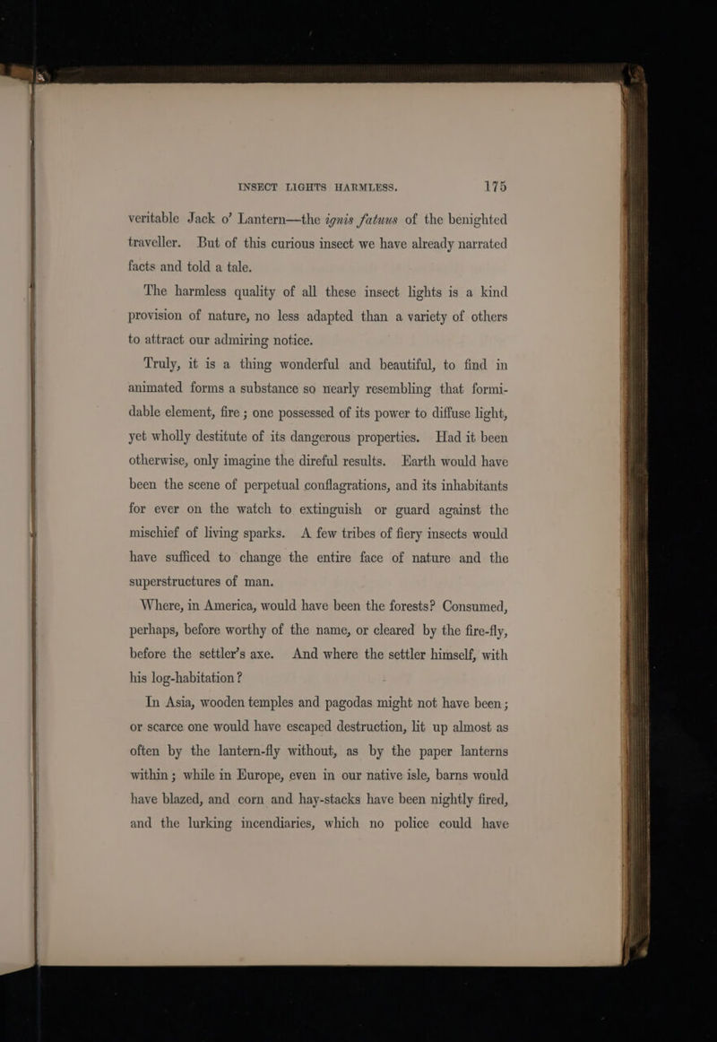 veritable Jack o’ Lantern—the ignis fatuus of the benighted traveller. But of this curious insect we have already narrated facts and told a tale. The harmless quality of all these insect lights is a kind provision of nature, no less adapted than a variety of others to attract our admiring notice. Truly, it is a thing wonderful and beautiful, to find in animated forms a substance so nearly resembling that formi- dable element, fire ; one possessed of its power to diffuse light, yet wholly destitute of its dangerous properties. Had it been otherwise, only imagine the direful results. Earth would have been the scene of perpetual conflagrations, and its inhabitants for ever on the watch to extinguish or guard against the mischief of living sparks. A few tribes of fiery insects would have sufficed to change the entire face of nature and the superstructures of man. Where, in America, would have been the forests? Consumed, perhaps, before worthy of the name, or cleared by the fire-fly, before the settler’s axe. And where the settler himself, with his log-habitation ? In Asia, wooden temples and pagodas might not have been ; or scarce one would have escaped destruction, lit up almost as often by the lantern-fly without, as by the paper lanterns within ; while in Europe, even in our native isle, barns would have blazed, and corn and hay-stacks have been nightly fired, and the lurking incendiaries, which no police could have