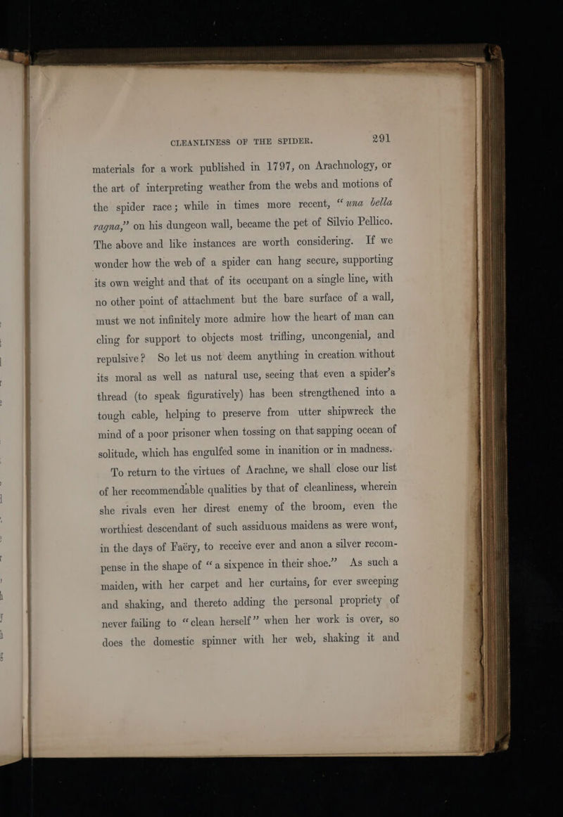 materials for a work published in 1797, on Arachnology, or the art of interpreting weather from the webs and motions of the spider race; while in times more recent, “wna bella ragna,”’ on his dungeon wall, became the pet of Silvio Pellico. The above and like instances are worth considering. If we wonder how the web of a spider can hang secure, supporting its own weight and that of its occupant on a single line, with no other point of attachment but the bare surface of a wall, must we not infinitely more admire how the heart of man can cling for support to objects most trifling, uncongenial, and repulsive? So let us not deem anything in creation. without ‘ts moral as well as natural use, seeing that even a spider’s thread (to speak figuratively) has been strengthened into a tough cable, helping to preserve from utter shipwreck the mind of a poor prisoner when tossing on that sapping ocean of solitude, which has engulfed some in inanition or in madness. To return to the virtues of Arachne, we shall close our list of her recommendable qualities by that of cleanliness, wherein she rivals even her direst enemy of the broom, even the worthiest descendant of such assiduous maidens as were wont, in the days of Faéry, to receive ever and anon a silver recom- pense in the shape of “a sixpence in their shoe.” As such a maiden, with her carpet and her curtains, for ever sweeping and shaking, and thereto adding the personal propriety of never failing to “clean herself” when her work is over, so does the domestic spinner with her web, shaking it and