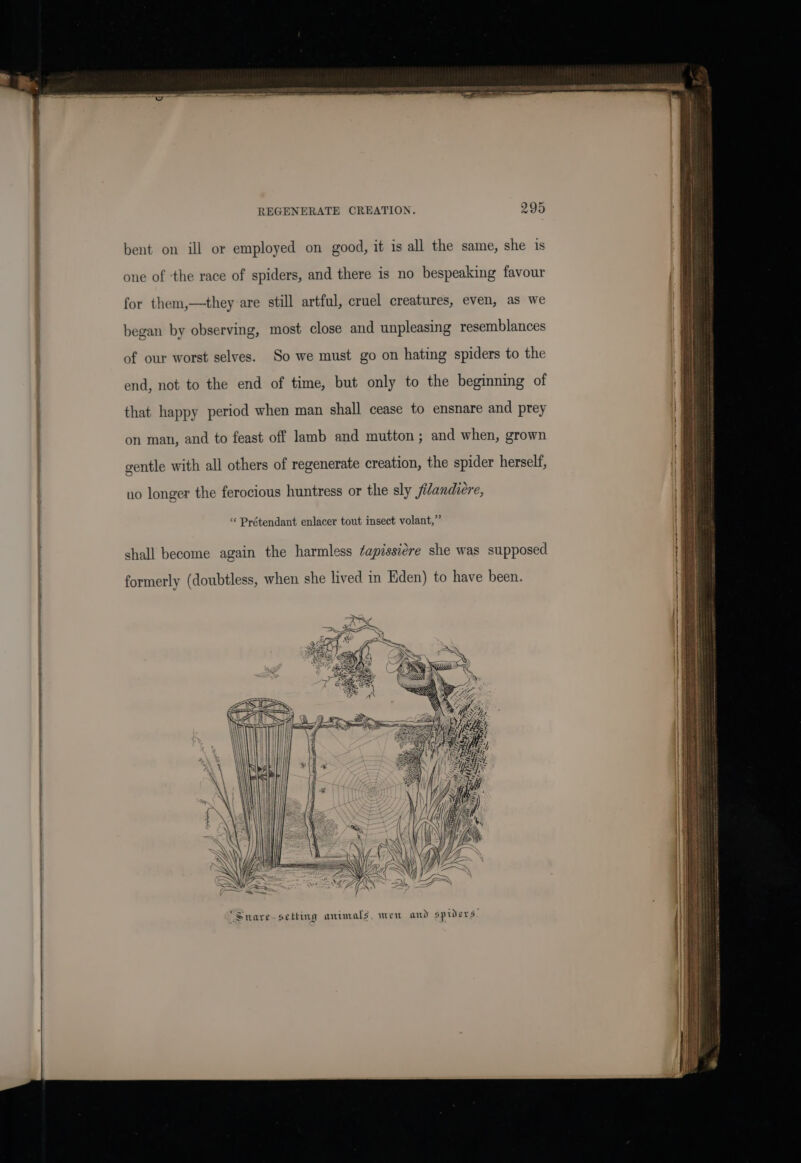 @~ To xt REGENERATE CREATION. bent on ill or employed on good, it 1s all the same, she is one of ‘the race of spiders, and there is no bespeaking favour for them,—they are still artful, cruel creatures, even, as we began by observing, most close and unpleasing resemblances of our worst selves. So we must go on hating spiders to the end, not to the end of time, but only to the beginning of that happy period when man shall cease to ensnare and prey on man, and to feast off lamb and mutton ; and when, grown gentle with all others of regenerate creation, the spider herself, uo longer the ferocious huntress or the sly filandiere, “ Prétendant enlacer tout insect volant,”’ shall become again the harmless ¢apissiére she was supposed formerly (doubtless, when she lived in Eden) to have been. Snare-sething animals, wen and spriers