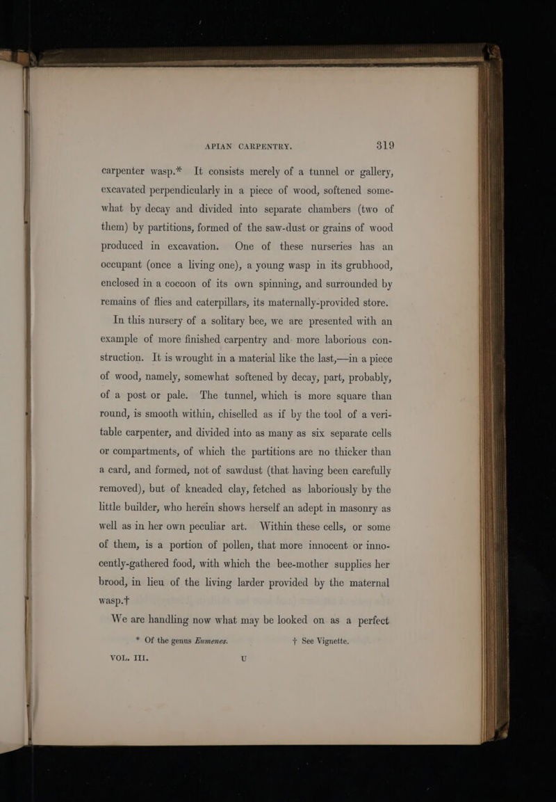 te — APIAN CARPENTRY. 319 carpenter wasp.* It consists merely of a tunnel or gallery, excavated perpendicularly in a piece of wood, softened some- what by decay and divided into separate chambers (two of them) by partitions, formed of the saw-dust or grains of wood produced in excavation. One of these nurseries has an occupant (once a living one), a young wasp in its grubhood, enclosed in a cocoon of its own spinning, and surrounded by remains of flies and caterpillars, its maternally-provided store. In this nursery of a solitary bee, we are presented with an example of more finished carpentry and: more laborious con- struction. It is wrought in a material like the last,—in a piece of wood, namely, somewhat softened by decay, part, probably, of a post or pale. The tunnel, which is more square than round, is smooth within, chiselled as if by the tool of a veri- table carpenter, and divided into as many as six separate cells or compartments, of which the partitions are no thicker than a card, and formed, not of sawdust (that having been carefully removed), but of kneaded clay, fetched as laboriously by the little builder, who herein shows herself an adept in masonry as well as in her own peculiar art. Within these cells, or some of them, is a portion of pollen, that more innocent or inno- cently-gathered food, with which the bee-mother supplies her brood, in lieu of the living larder provided by the maternal wasp.T We are handling now what may be looked on as a perfect * Of the genus Humenes. + See Vignette. VOL. III.