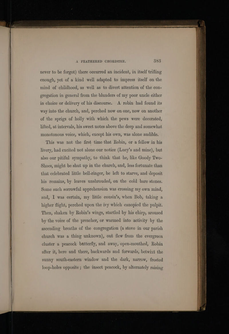 Qo Ps QW A FEATHERED CHORISTER. never to be forgot) there occurred an incident, in itself trifling enough, yet of a kind well adapted to impress itself on the mind of childhood, as well as to divert attention of the con- gregation in general from the blunders of my poor uncle either in choice or delivery of his discourse. A robin had found its way into the church, and, perched now on one, now on another of the sprigs of holly with which the pews were decorated, lifted, at intervals, his sweet notes above the deep and somewhat monotonous voice, which, except his own, was alone audible. This was not the first time that Robin, or a fellow in his livery, had excited not alone our notice (Lucy’s and mine), but also our pitiful sympathy, to think that he, like Goody Two- Shoes, might be shut up in the church, and, less fortunate than that celebrated little bell-ringer, be left to starve, and deposit his remains, by leaves unshrouded, on the cold bare stones. Some such sorrowful apprehension was crossing my own mind, and, I was certain, my litle cousin’s, when Bob, taking a higher flight, perched upon the ivy which canopied the pulpit. Then, shaken by Robin’s wings, startled by his chirp, aroused by the voice of the preacher, or warmed into activity by the ascending breaths of the congregation (a stove in our parish church was a thing unknown), out flew from the evergreen cluster a peacock batterfly, and away, open-mouthed, Robin after it, here and there, backwards and forwards, betwixt the sunny south-eastern window and the dark, narrow, frosted loop-holes opposite ; the insect peacock, by alternately raising