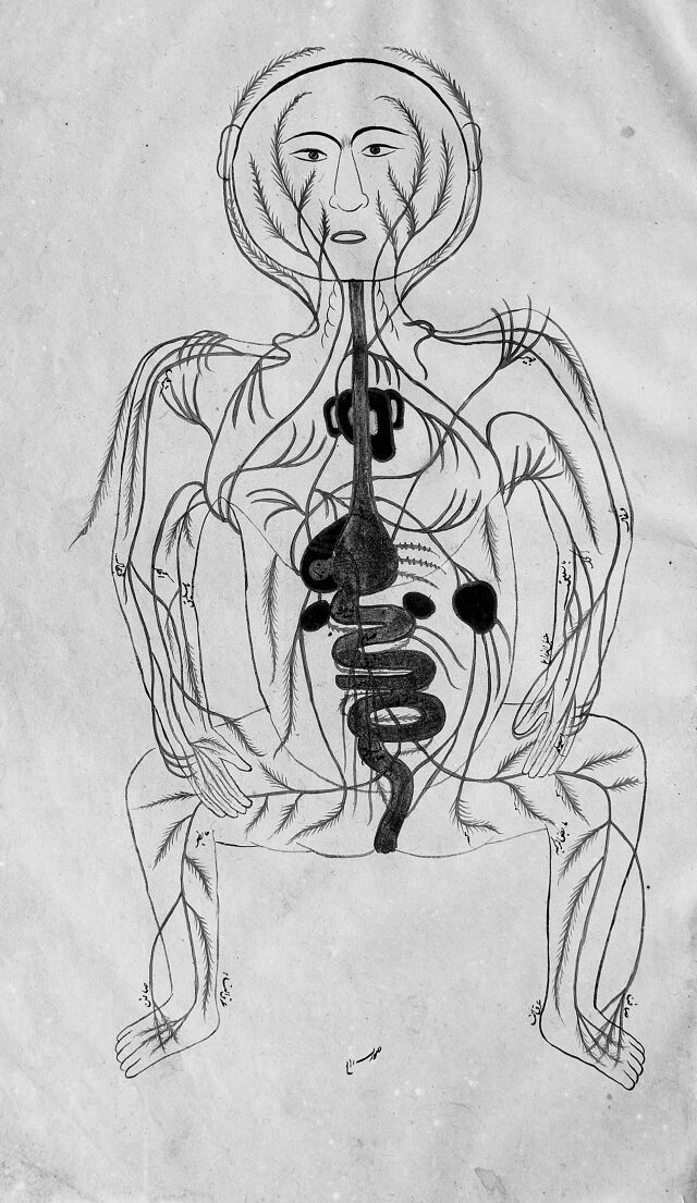 digitised image 1