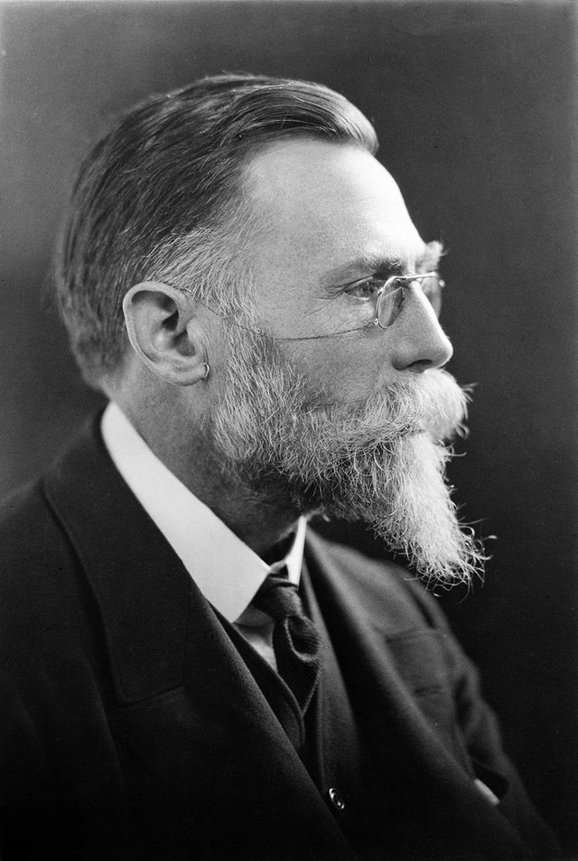 No text description is available for this image