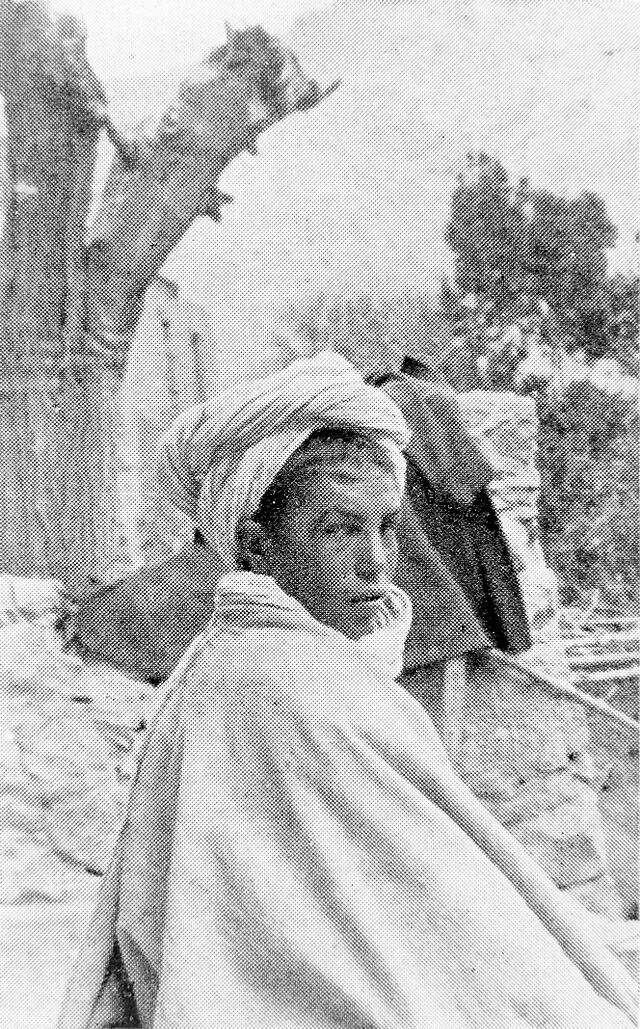 No text description is available for this image