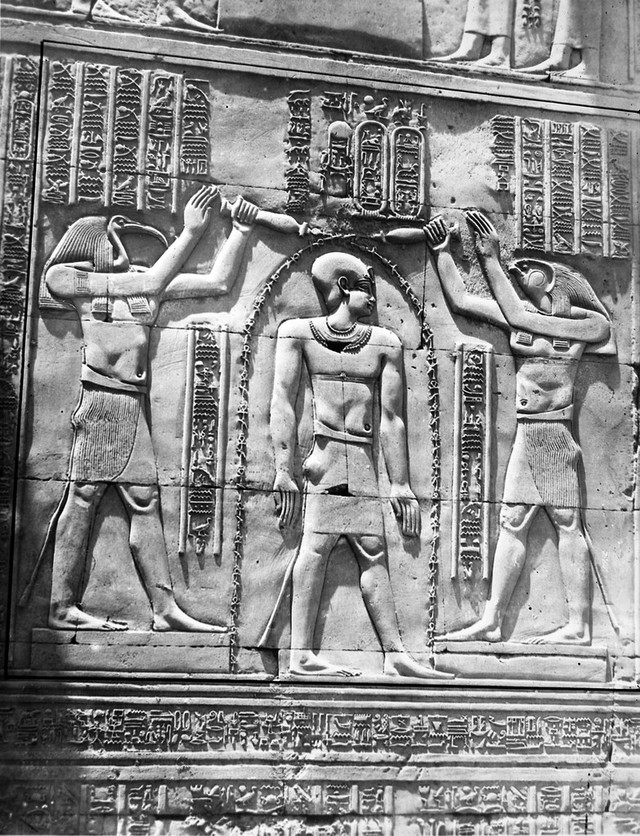 No text description is available for this image