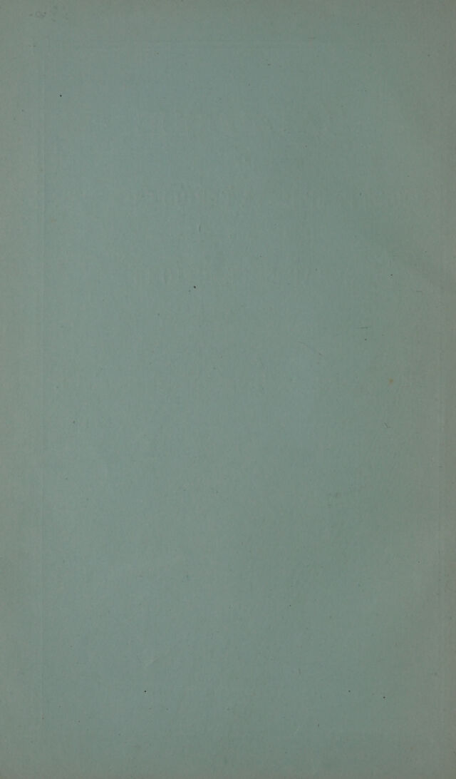 digitised image 2