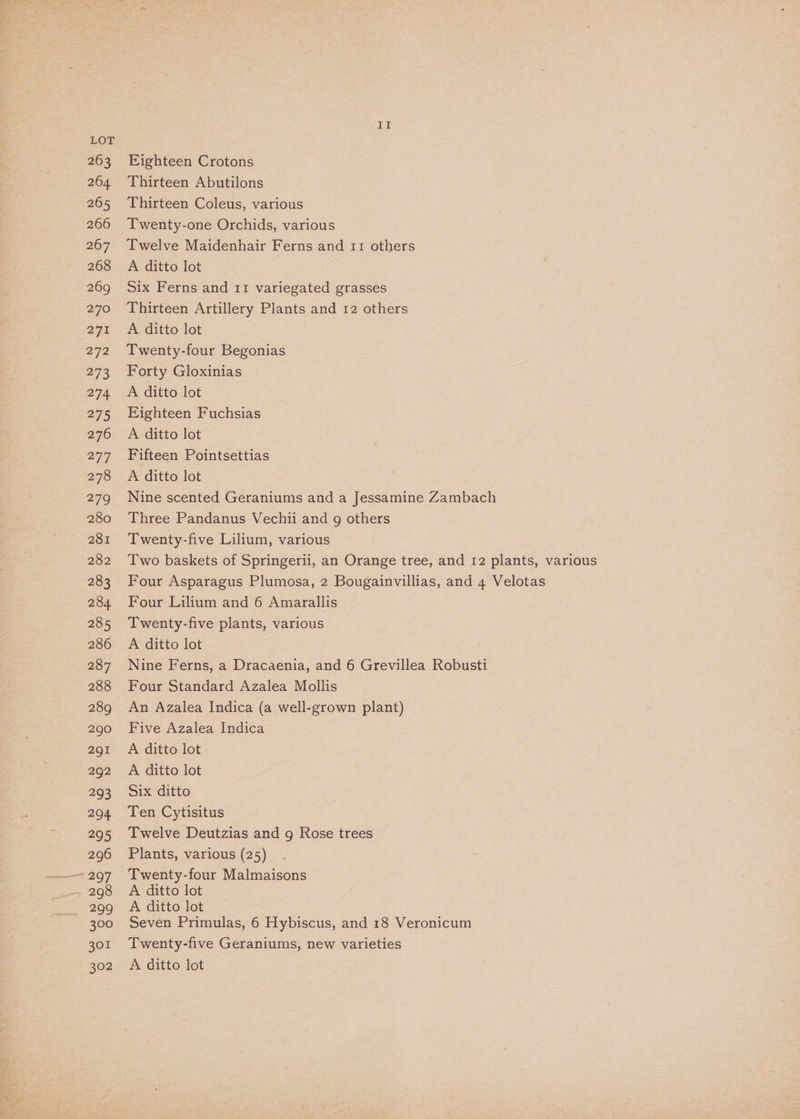 263 264. 265 266 267 268 269 270 eR 272 273 274 275 276 277 278 279 280 281 282 283 284 285 286 287 288 289 290 291 LZ PGB, 293 294 295 296 a207, 298 299 300 301 302 II Eighteen Crotons Thirteen Abutilons Thirteen Coleus, various Twenty-one Orchids, various Twelve Maidenhair Ferns and 11 others A ditto lot 7 Six Ferns and 11 variegated grasses Thirteen Artillery Plants and 12 others A ditto lot Twenty-four Begonias Forty Gloxinias A ditto lot Eighteen Fuchsias A ditto lot Fifteen Pointsettias A ditto lot Nine scented Geraniums and a Jessamine Zambach Three Pandanus Vechii and g others Twenty-five Lilium, various Two baskets of Springerii, an Orange tree, and 12 plants, various Four Asparagus Plumosa, 2 Bougainvillias, and 4 Velotas Four Lilium and 6 Amarallis Twenty-five plants, various A ditto lot Nine Ferns, a Dracaenia, and 6 Grevillea Robusti Four Standard Azalea Mollis Five Azalea Indica A ditto lot A ditto lot Six ditto Ten Cytisitus Twelve Deutzias and g Rose trees Plants, various (25) Twenty-four Malmaisons A ditto lot A ditto lot Seven Primulas, 6 Hybiscus, and 18 Veronicum Twenty-five Geraniums, new varieties A ditto lot