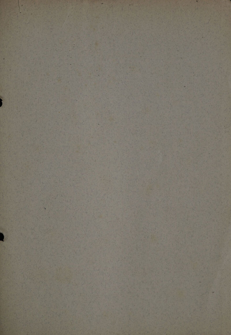 phe ay. st S— eee a