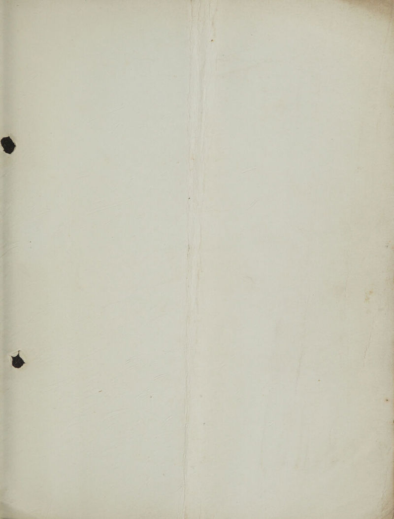 nite! tae es a ee reall