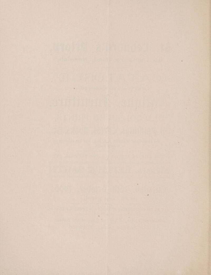 pies See of xs om oF “ Seat a. . Sine ad ‘yy Pz tf Sf