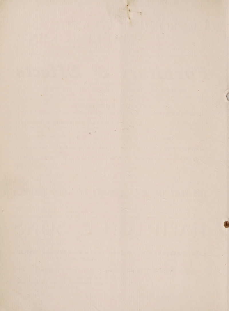 ty vs Nags A EAP, ies : eae pas Se a file be a MY ve a ee “se 1 ese, ; ‘4 i re hard ‘, rages ey a Pe ain a eh ALY th Af oe tae a haelpe mith j re - th oe ak wit rene a) hi | . aS ale 7 Ws i, Vt a ea by ape A 2 3 [a Js is W pa chs (i= —-. oe a iis SOB es LA. _ F, 7 oa “ when, ng 4A Cie : v vet Wh Es vaeae hal ey | TARE An, Ay Naa yh saa) me AO By Ps oo st ‘EN PENG Tee nl av