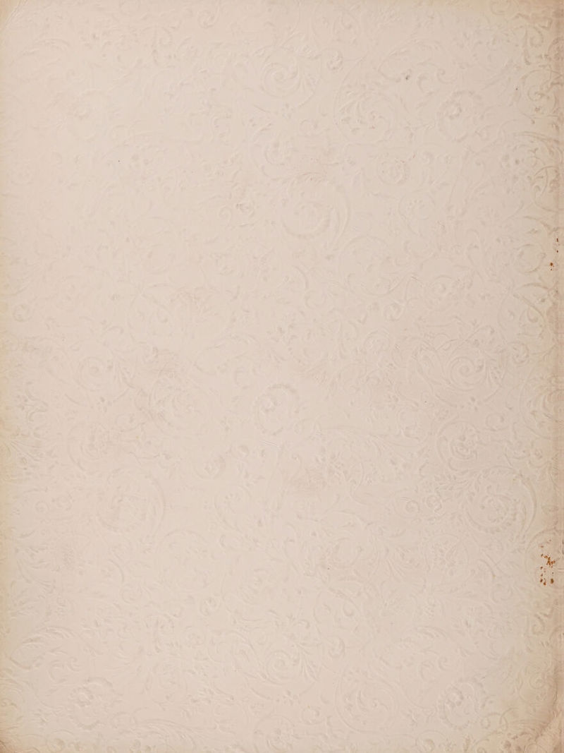 4 { : bo ff, a a get a ? 4 A 2 gee (P ae fa 4 ¢ ede 4 a ° ., a if . . 7 4 bes te , t ” 3 ow > ff : : . é fe cr : dl = . > ™ ¥ we dy ey ae - F x 4 g !,4 Neg ee ~ ae fm “en o *; =, e ‘ Pa) = — pe a Pan 4 % xe oat? coli. a > “, ? . n 7G i Nia | ad = /4 > = ” Oe ti  2 7 ( ae “ae : »_ * 4 - tt -< . ¢ } ; \ ; ' Fe ‘ > _ P ¢ : aN ; “4 oy : ; ke . f p x, wg Me : , < Wr} 5 4 _ 5 . 7 ‘ y { $ ‘ - : r Ft x ; » iJ ‘ ‘ ‘ io A . 7 ,* AM Gy (PE s 1 * ~ es , * i 7 ~ ay fs ‘ at 5 petecmeaty Yh V1 Aa5 == Me { \ re tas ex NG q a _ De a : i 2 ee 4 ‘ PES : ; ™ ‘ And “= 7 : Baa. Ne : oa), oe See SB dj 4 4 A ' ‘. if 5 ; , = x —— a J % — « . : 9 ’ > x Bi *s VARS oe se .* ¥ + ¥ * ‘ ‘ - i e. 4 > ‘ . i ‘ y 4 . “ [pao ; he LL Pn c oe. me r , ‘ * — * ... , =~ >. . % : th s , if I o. y , ; ‘, er * / ¥ Pr f 4 ~*~ : Nd ae aaah . ‘4 - . j - ~. 5 oe } . Ly ae . #« W A ~ ‘ 1» ™ ~~ ae ~ | .. , y rf r, - sd a ‘ 4 oy; al ’ ~ : @ 4 4 + v / ! . i \ . a y d : 1 ad hi + | : ~ : \ ee Se yer ia ee be ¥ f See x 7 4- . 9 , Ss : &amp; a. ony, oa Pe en | » = P\ta Be er De,