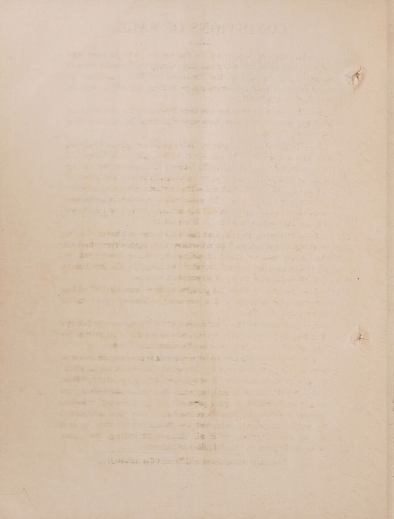 “7 _ - LJ * t . — ee ~ , a _ ‘ * s ~ : ~* HES Ms * ,= 3 ¢ ‘ 4 : i , ; #4. + 3 ue 7 Nad - it oe¥ aah” oe. 2 + Ge ow” ue be’ 4 : ’ os ‘ ne * ~ > 1 ey af “4 oS 2 3 a , ee ty ~ rath, ° —aos . ~ ‘Sb 4 “ 33 A ~ é ; , i. ; opis § ’ set * z z ae ‘ened - re , ty (Sica aa” ay a OE RA Re, —— x Pie Pits Te: r