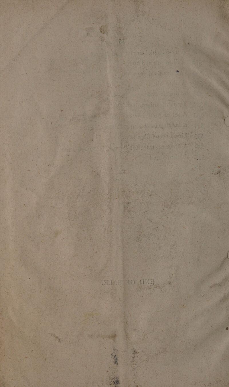 Sea tt Dial © rat Our et al von