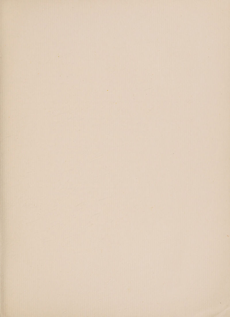 =i) SF nae Sa rns . — ata y wee wes Pal ae sha ule ae » ee see a ee a “