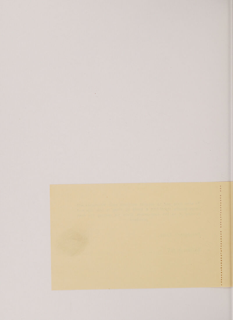 ‘ ’ a ns ' % ‘ ‘ x ‘ ’ + . “3 tv ice vies ? we *¢ a+ + pea? Mi we ky ‘ ft . _ ———— ‘ * ” } * a + al - . ie > ae 2 e< J q ss F tye &amp;? ; Per = 2 me = y 5 s i. y 2 < , > ee a oes e@Her. ee + ite eee ae Rs eeihs Pi <n f weeareerose 7 i ie !