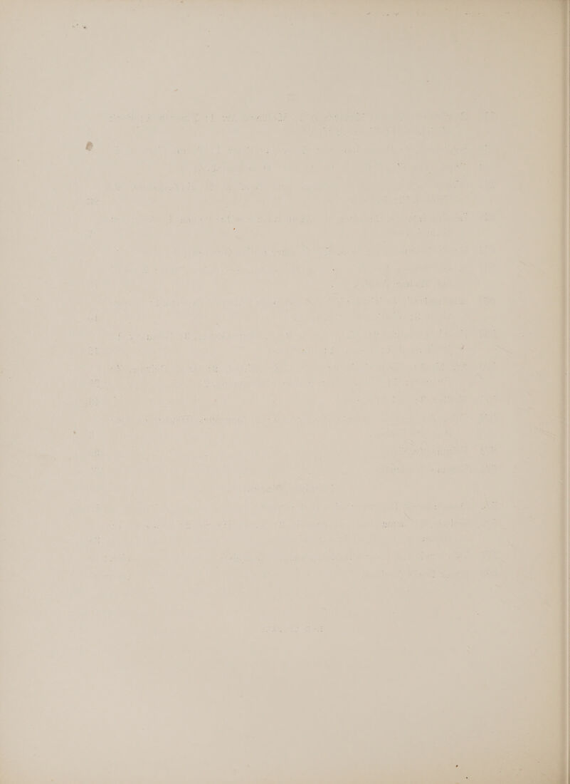 i alt ey a. . i me a tir Wis | Fae tise . o ee t-Se : ,) te eke say _ . - Sates ; i Stan 8 Seer) < a . Q Se -™=s i 27 er a4 Te r ota a ae SS ee oe a. % : ap oni ~ 4 rf 3 Pim 4 _— \mae sty tome 4 * . = - * ae = = ye! ier era 4 -