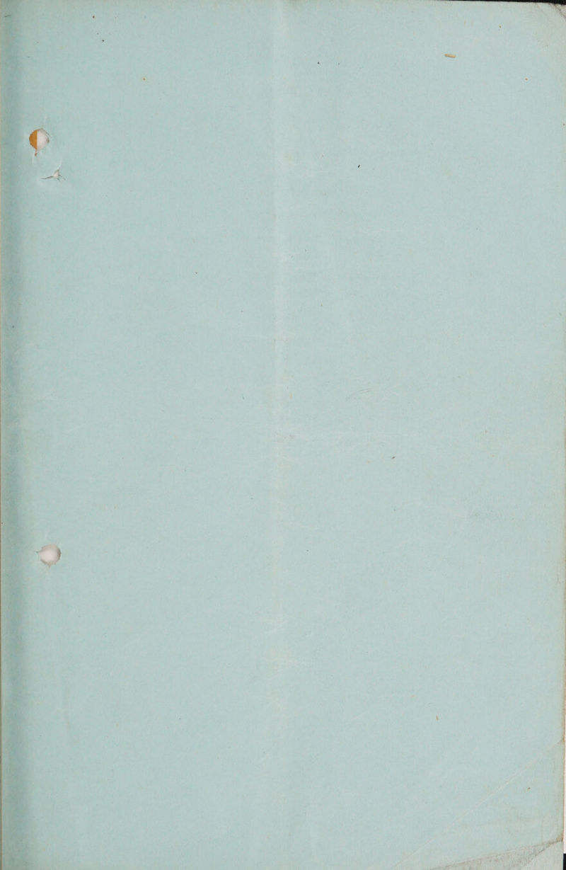 wie a a 77 3 4 2 = . 5 + ‘ * o i FP 1 7 3} yt ae ‘ \ { , Sie ‘ 1 { at oo en