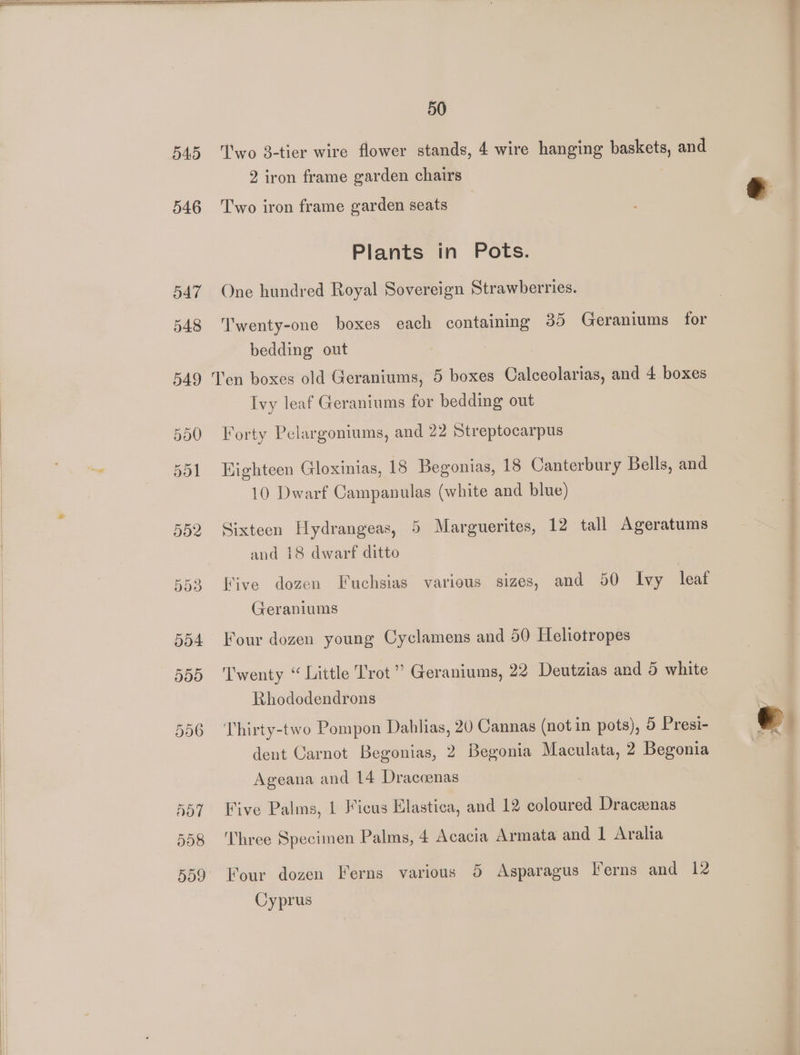 546 ‘Two 8-tier wire flower stands, 4 wire hanging baskets, and 2 iron frame garden chairs | Two iron frame garden seats Plants in Pots. One hundred Royal Sovereign Strawberries. Twenty-one boxes each containing 35 Geraniums for bedding out Ivy leaf Geraniums for bedding out Forty Pelargoniums, and 22 Streptocarpus Eighteen Gloxinias, 18 Begonias, 18 Canterbury Bells, and 10 Dwarf Campanulas (white and blue) Sixteen Hydrangeas, 5 Marguerites, 12 tall Ageratums and 18 dwarf ditto Five dozen Fuchsias various sizes, and 50 Ivy leaf Geraniums Four dozen young Cyclamens and 50 Heliotropes Twenty “Little Trot” Geraniums, 22 Deutzias and 5 white Rhododendrons Thirty-two Pompon Dablias, 20 Cannas (not in pots), 5 Presi- dent Carnot Begonias, 2 Begonia Maculata, 2 Begonia Ageana and 14 Dracoenas Five Palms, 1 Ficus Elastica, and 12 coloured Dracenas Three Specimen Palms, 4 Acacia Armata and | Aralia Cyprus —— ~~
