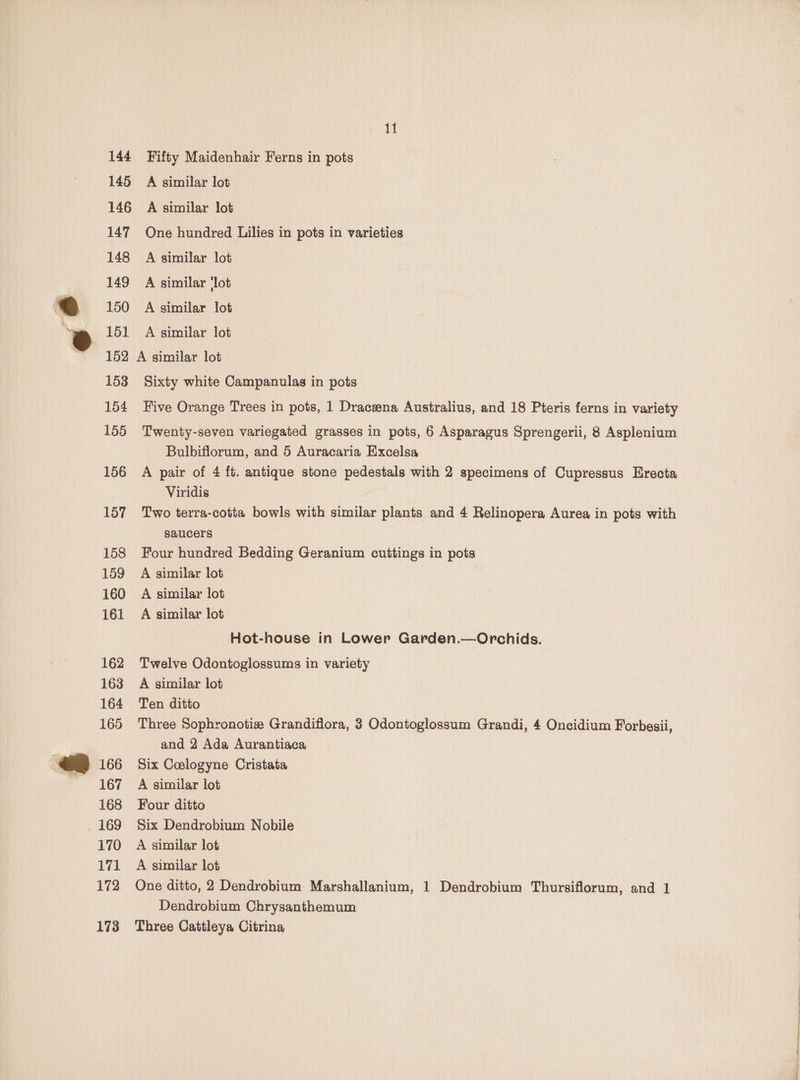 145 146 147 148 149 150 151 152 153 154 155 156 157 158 159 160 161 162 163 164 165 166 167 168 170 171 172 173 i8 A similar lot A similar lot One hundred Lilies in pots in varieties A similar lot A similar ‘lot A similar lot A similar lot Sixty white Campanulas in pots Five Orange Trees in pots, 1 Dracena Australius, and 18 Pteris ferns in variety Twenty-seven variegated grasses in pots, 6 Asparagus Sprengerii, 8 Asplenium Bulbiflorum, and 5 Auracaria Excelsa A pair of 4 ft. antique stone pedestals with 2 specimens of Cupressus Erecta Viridis Two terra-cotta bowls with similar plants and 4 Relinopera Aurea in pots with saucers Four hundred Bedding Geranium cuttings in pots A similar lot A similar lot A similar lot Hot-house in Lower Garden.—Orchids. Twelve Odontoglossums in variety A similar lot Ten ditto Three Sophronotiz Grandiflora, 3 Odontoglossum Grandi, 4 Oncidium Forbesii, and 2 Ada Aurantiaca Six Celogyne Cristata A similar lot Four ditto Six Dendrobium Nobile A similar lot A similar lot One ditto, 2 Dendrobium Marshallanium, 1 Dendrobium Thursiflorum, and 1 Dendrobium Chrysanthemum Three Cattleya Citrina, I et